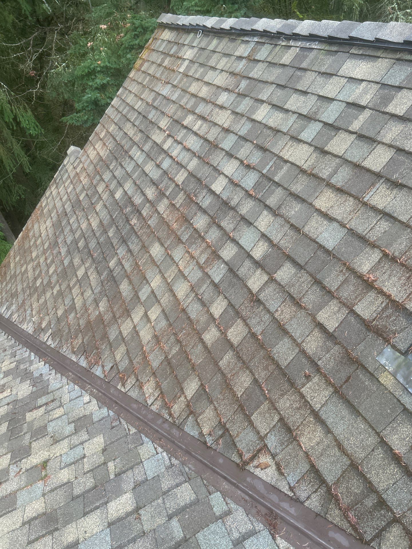 Project in Bothell by Connolly Construction Company