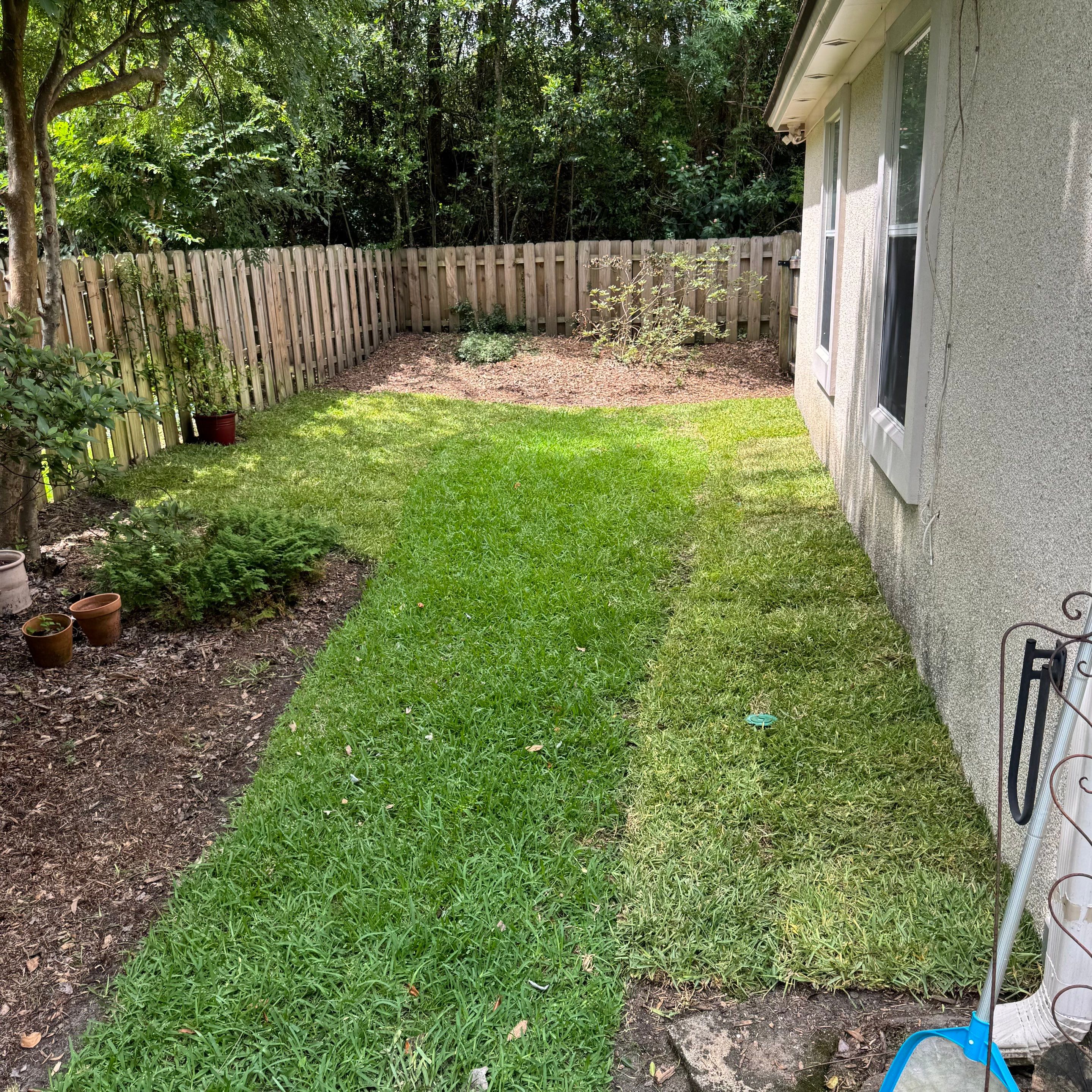 Deerwood Resident | Tree Trimming & Sod Install by ProGreen Services