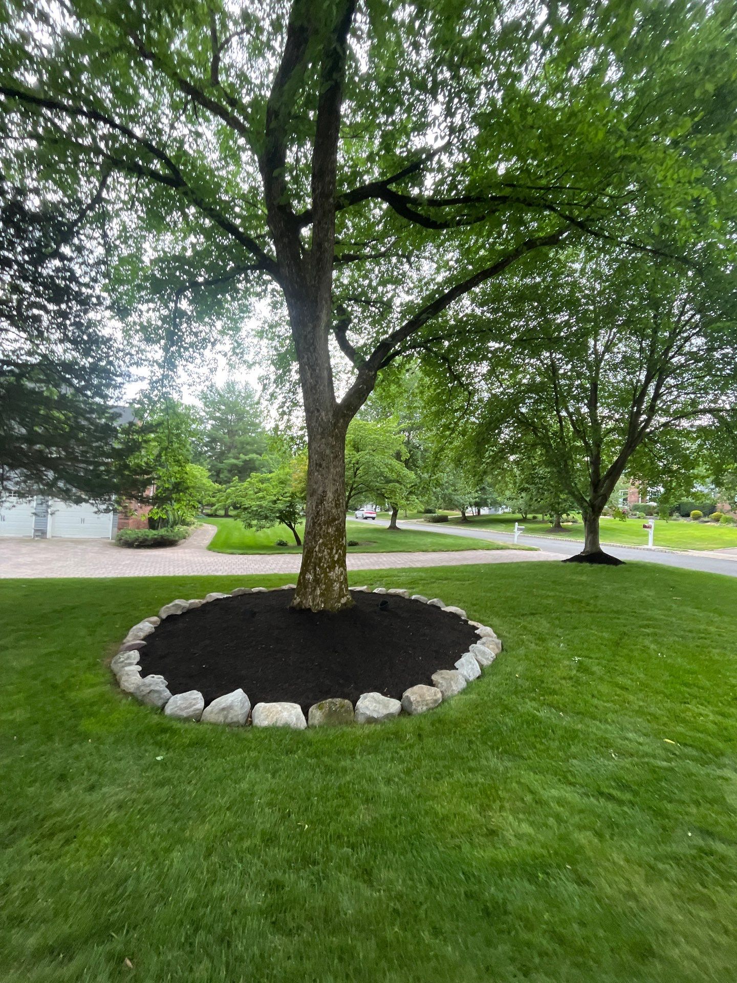 Comprehensive Shrub and Ornamental Bed Maintenance in Basking Ridge by Ants Plants