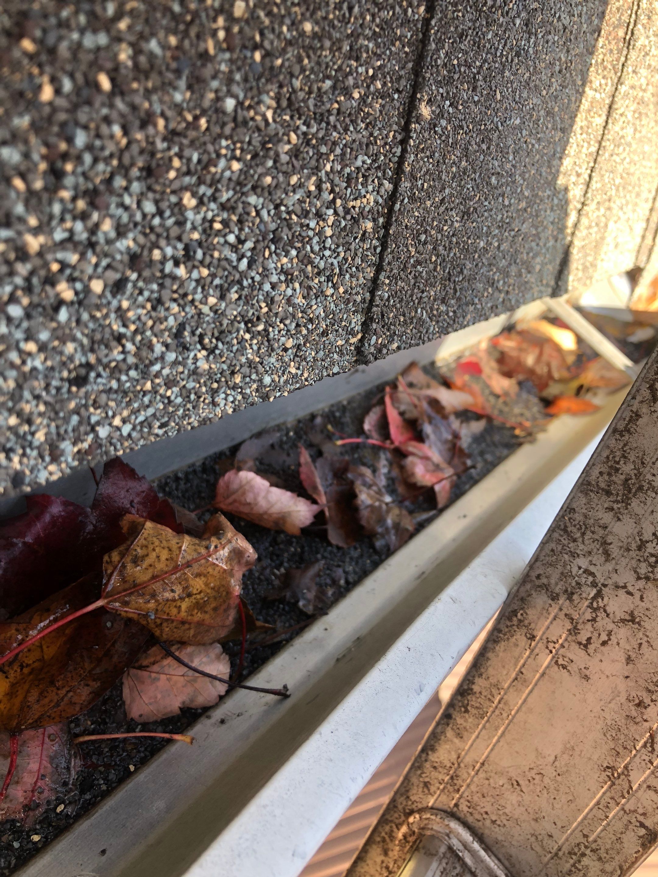 Commercial gutter cleaning Holland & Muskegon before photo with filled gutters