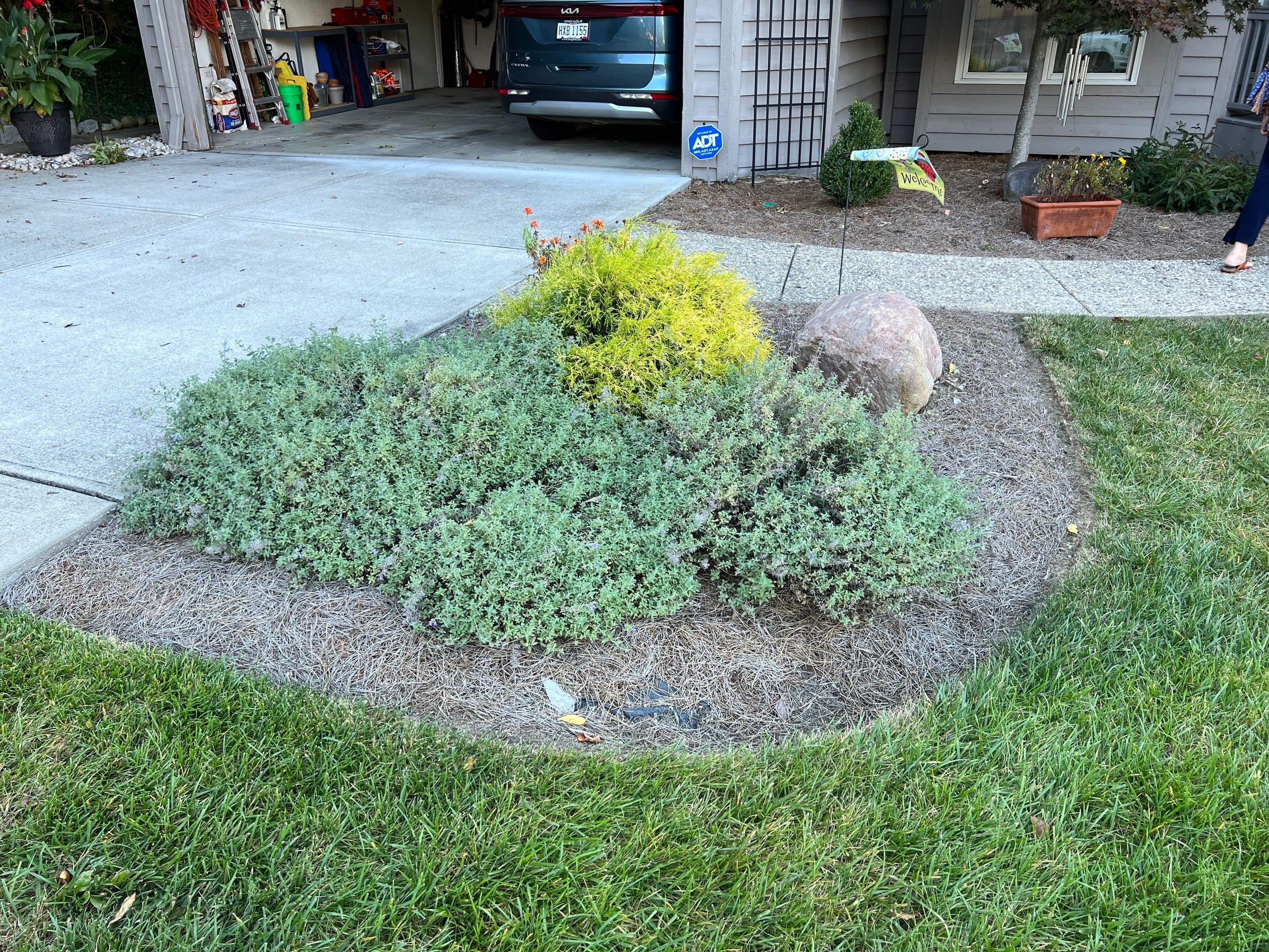 Spring Clean Up using Pine Straw by Reisenberg’s Lawn & Landscape, LLC