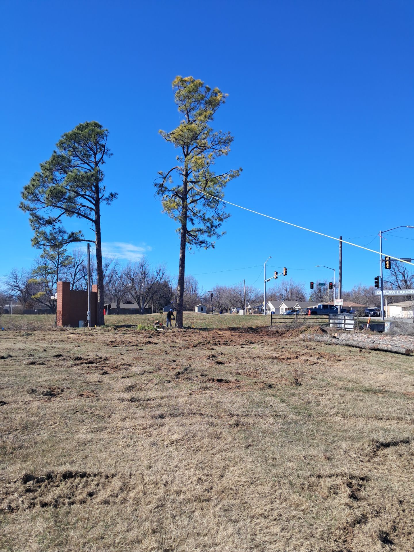 Pine Removals by Clays Services Inc