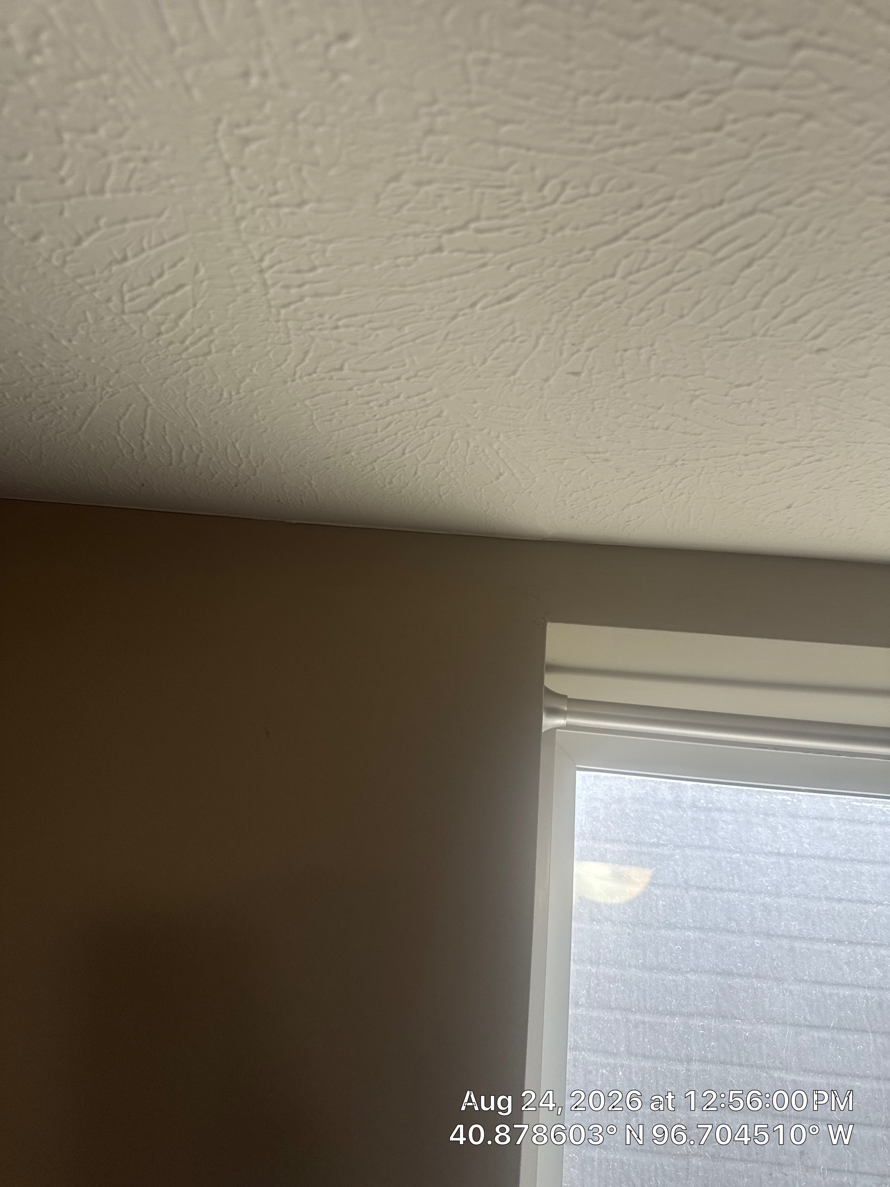 Lincoln Basement Window Drywall Repair and Ceiling Texturing by CompanyCam Sales Demo