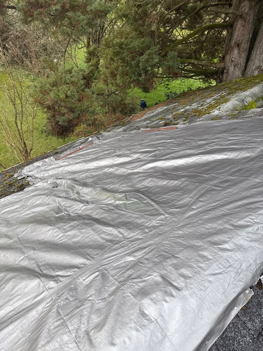 Residential Reroof Shingle by Top Notch Roofing Inc