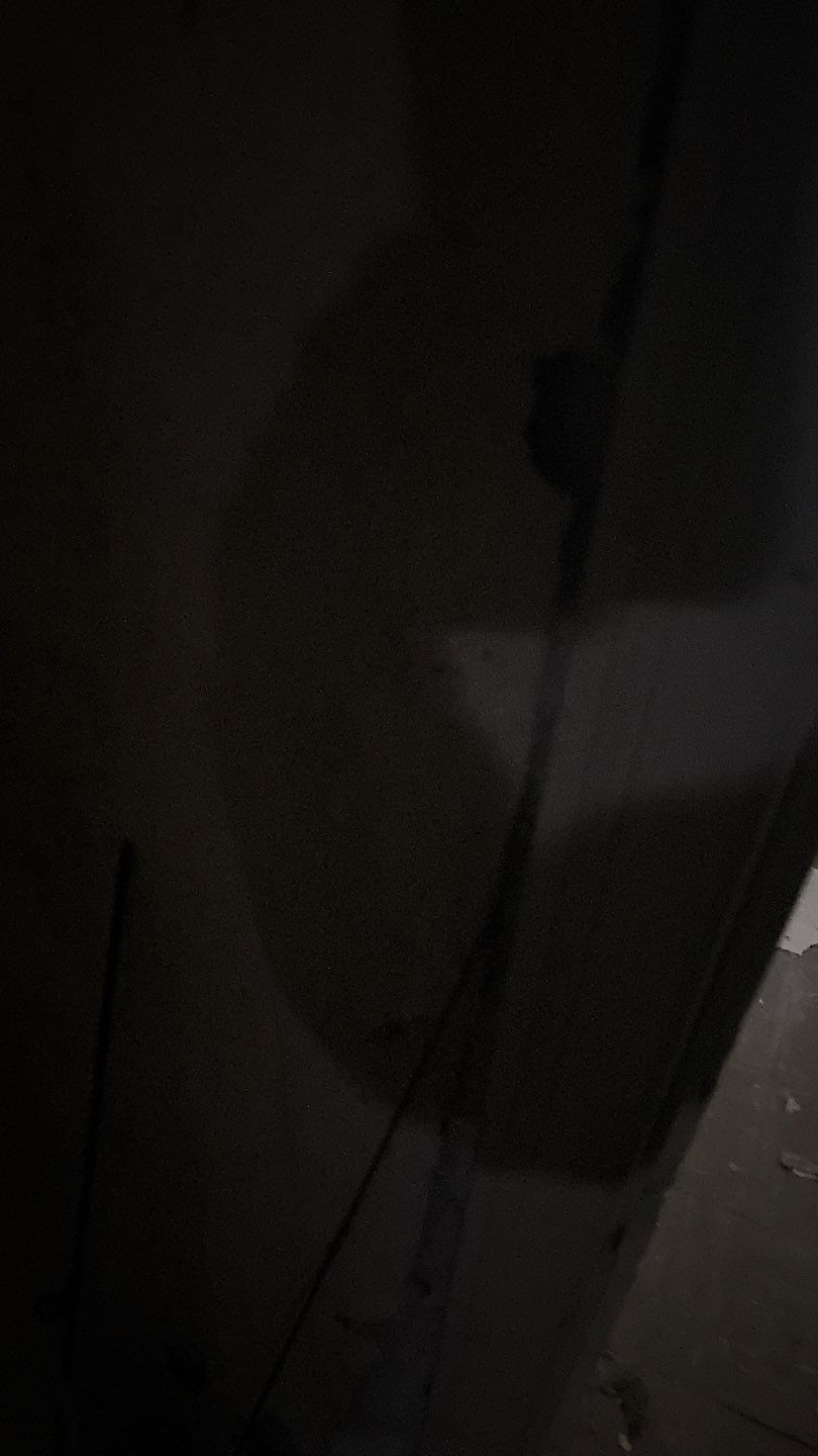 Mold Remediation by Accountable Home Services