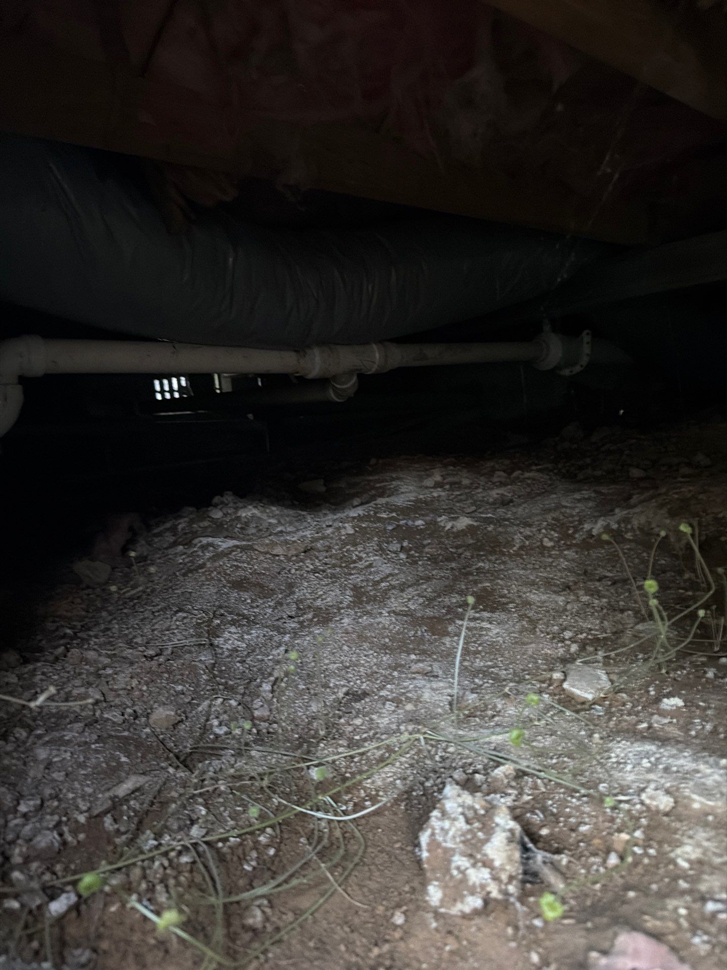 Pasadena Residence by Smart Energy Pros