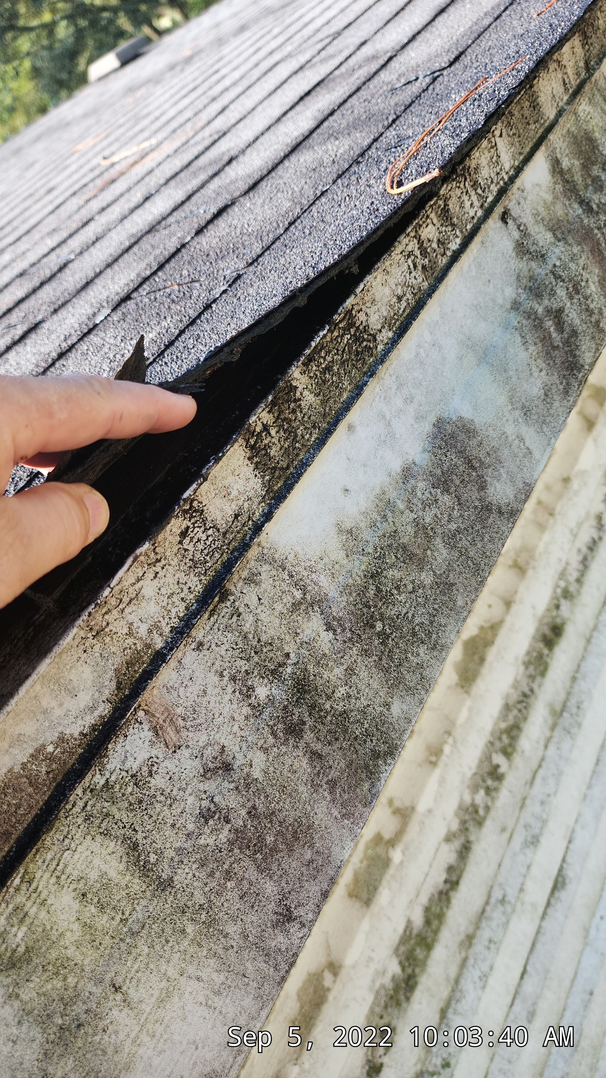 Residential Reroof: 25 Year 3-Tab Shingle by Hostetler Roofing