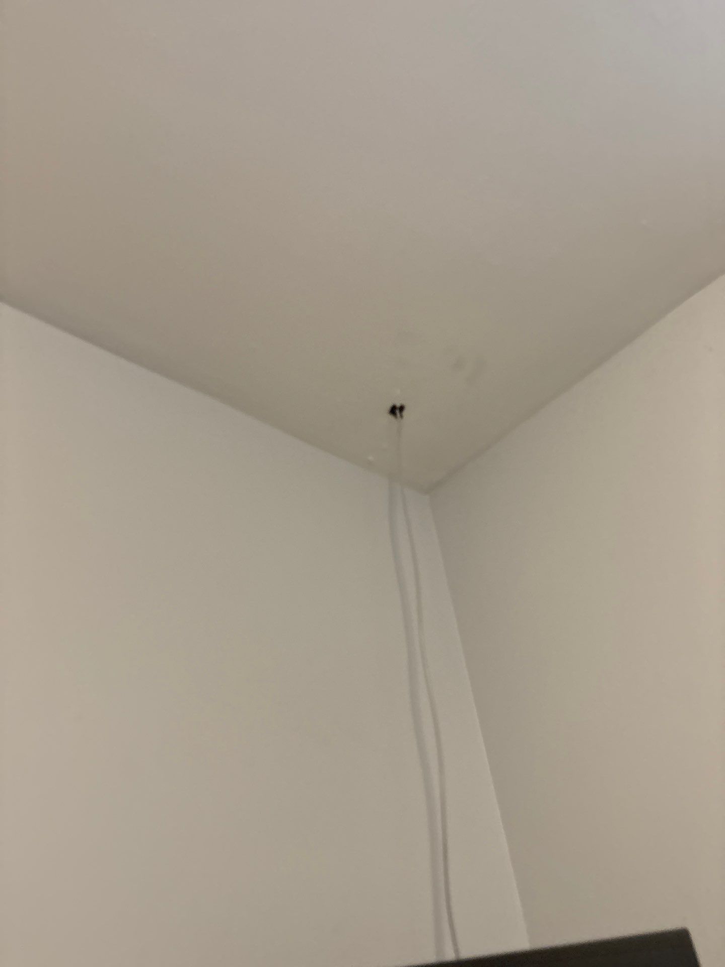 Interior Wall Refresh and Low Voltage Prep in Denver by CompanyCam Sales Demo