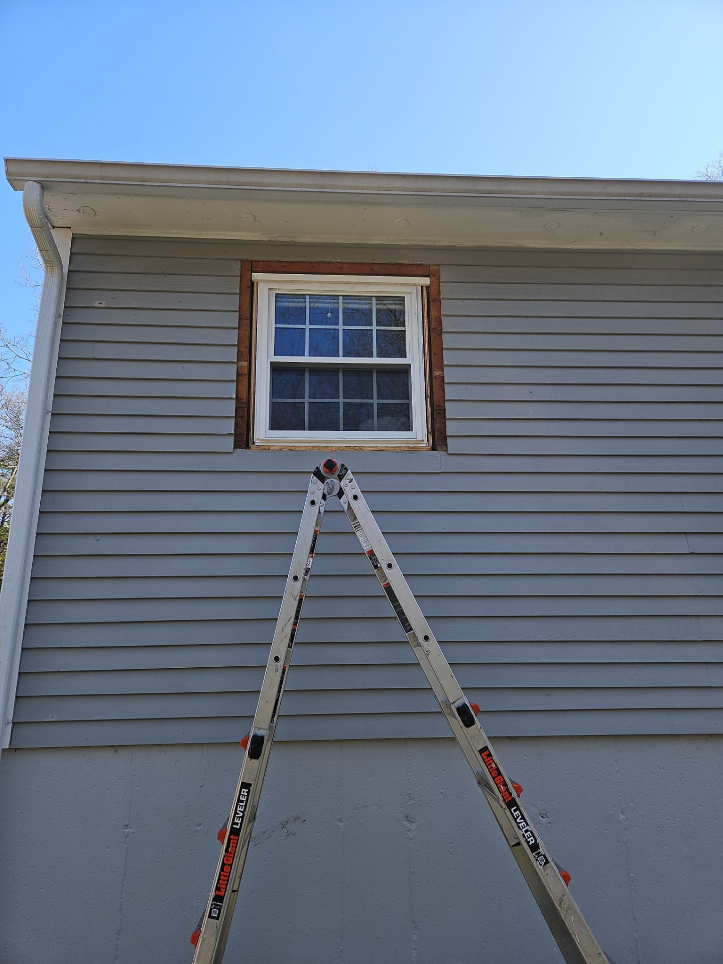 Roofing & Windows | Littleton by Mighty Dog Roofing of Greater Middlesex County