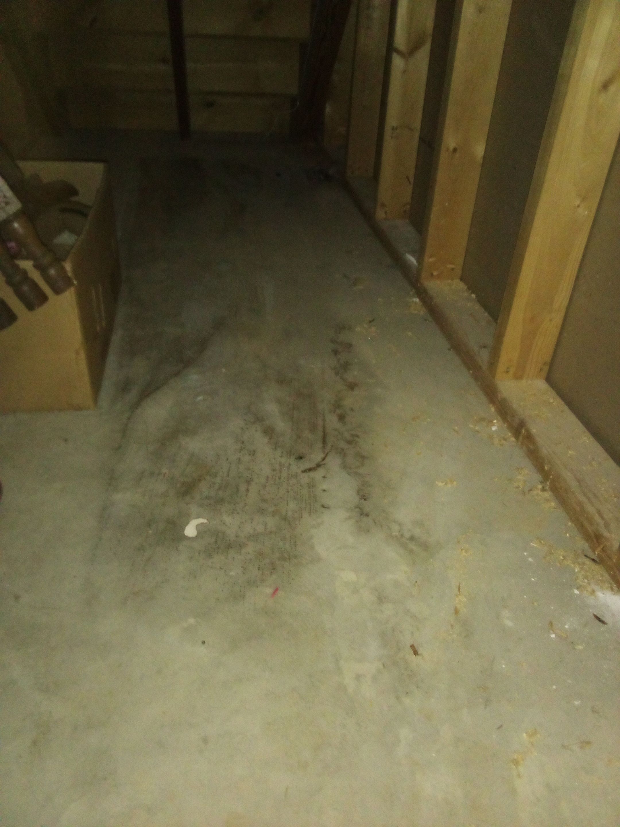 Sewage Backup in Prospect, KY by ANR Restoration