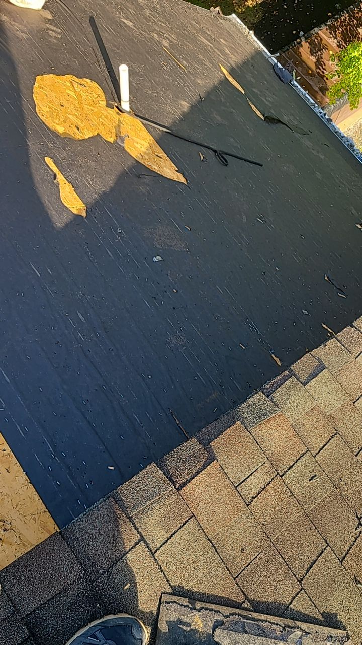 Dumfries: CertainTeed Landmark Pro Designer Shingles in Max Def Weathered Wood by RM Banning, Inc.