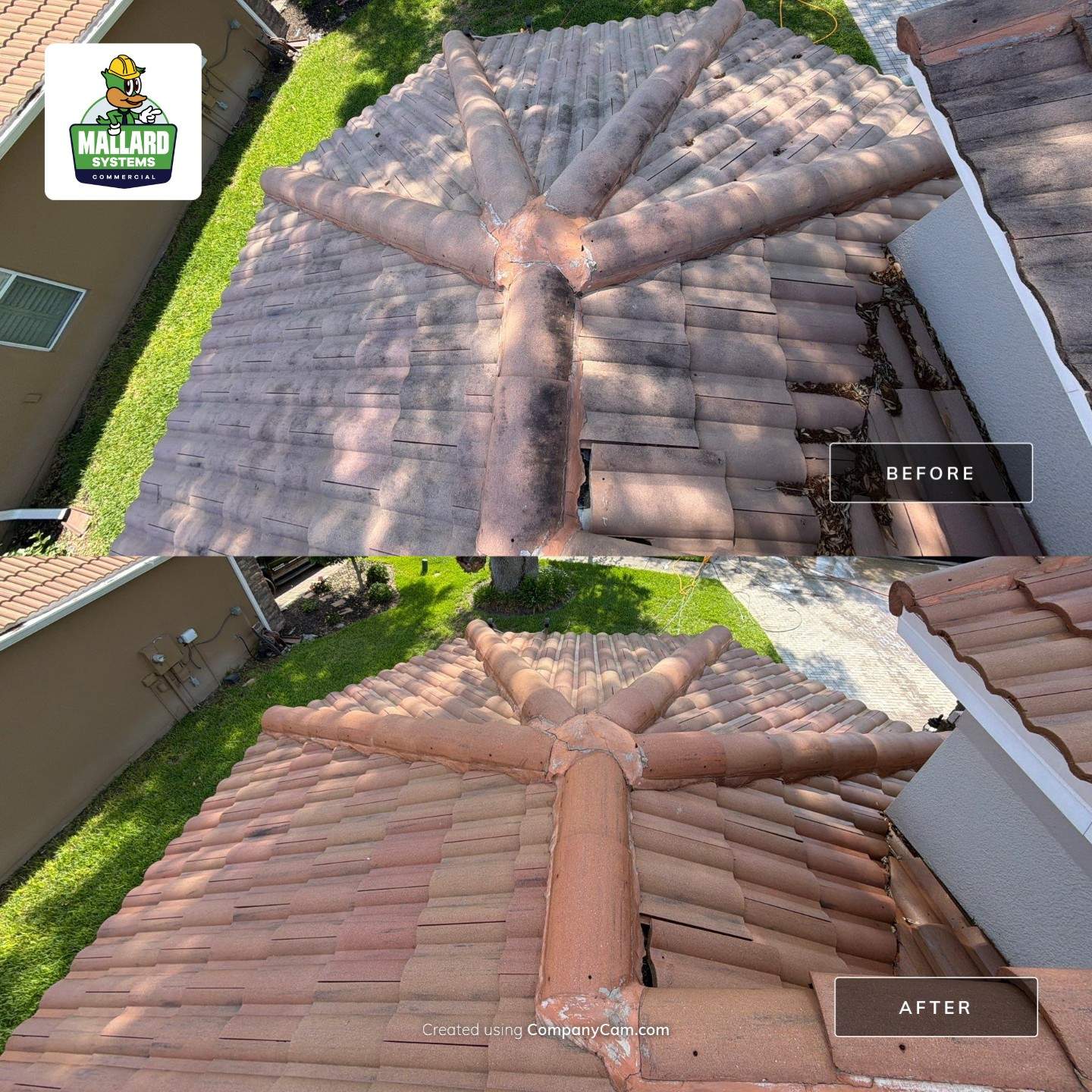 Roof Cleaning  by Mallard Systems
