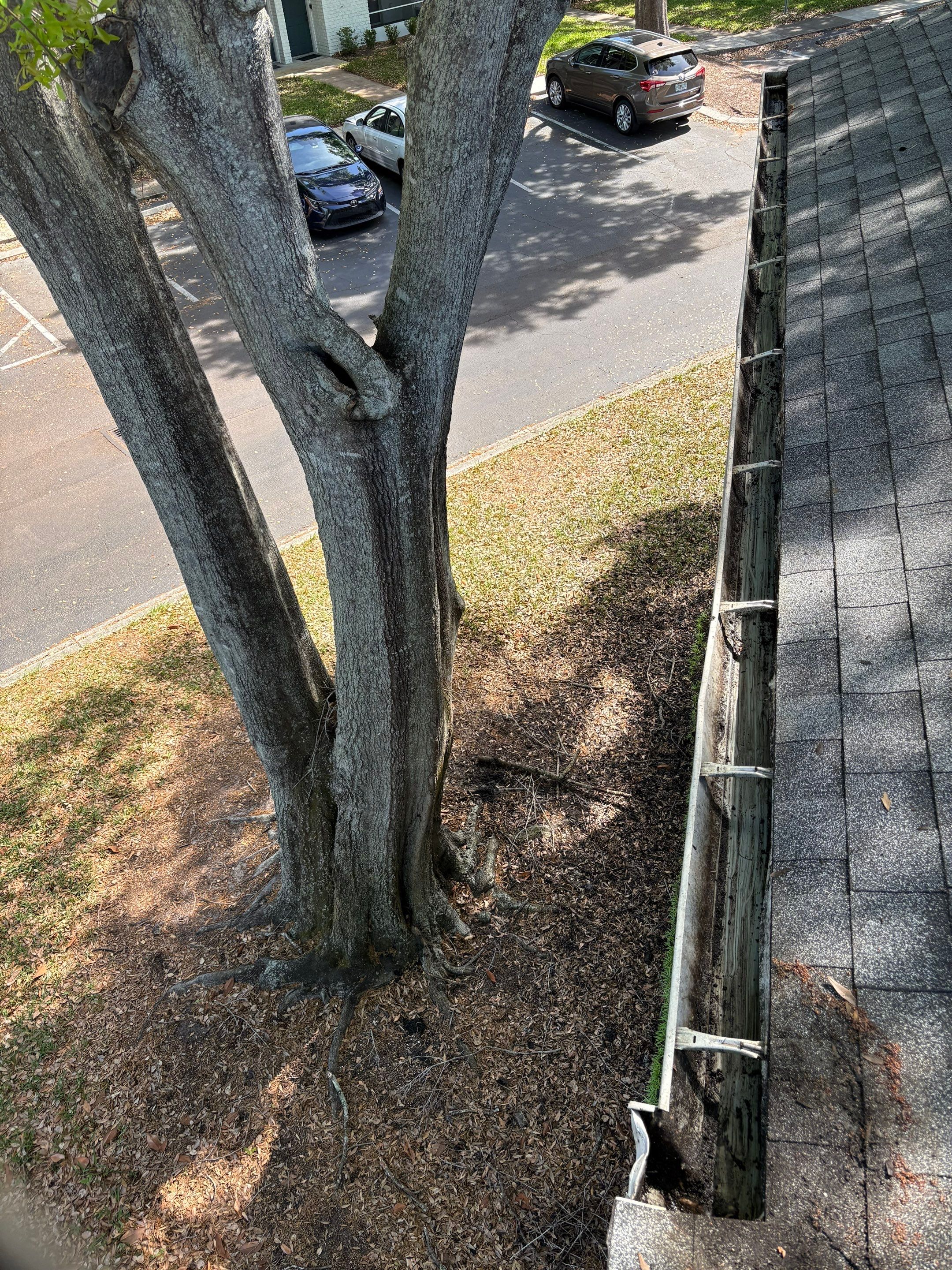 Orlando gutter cleaning after photo with fully cleared gutters.