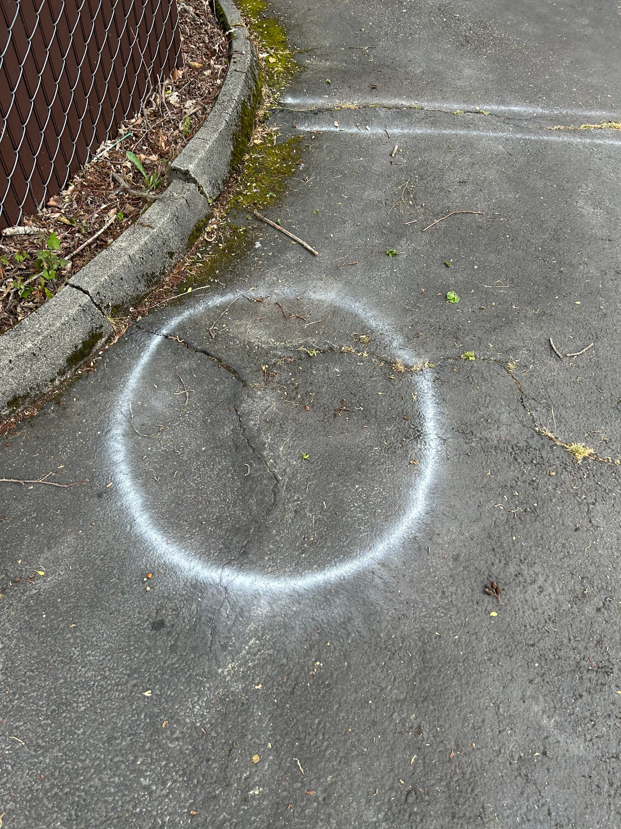 Brooklyn Bros Pizza | Sealcoating & Striping by Jireh Asphalt & Concrete Inc 