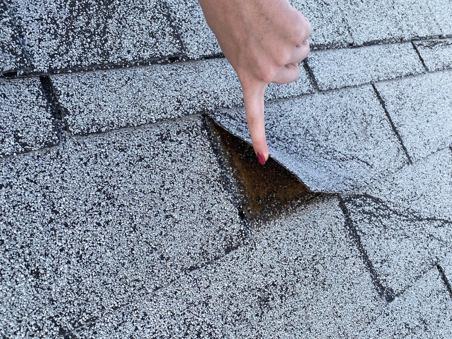 James Full Re-Roof + Shed by All Storm Roofing & Construction