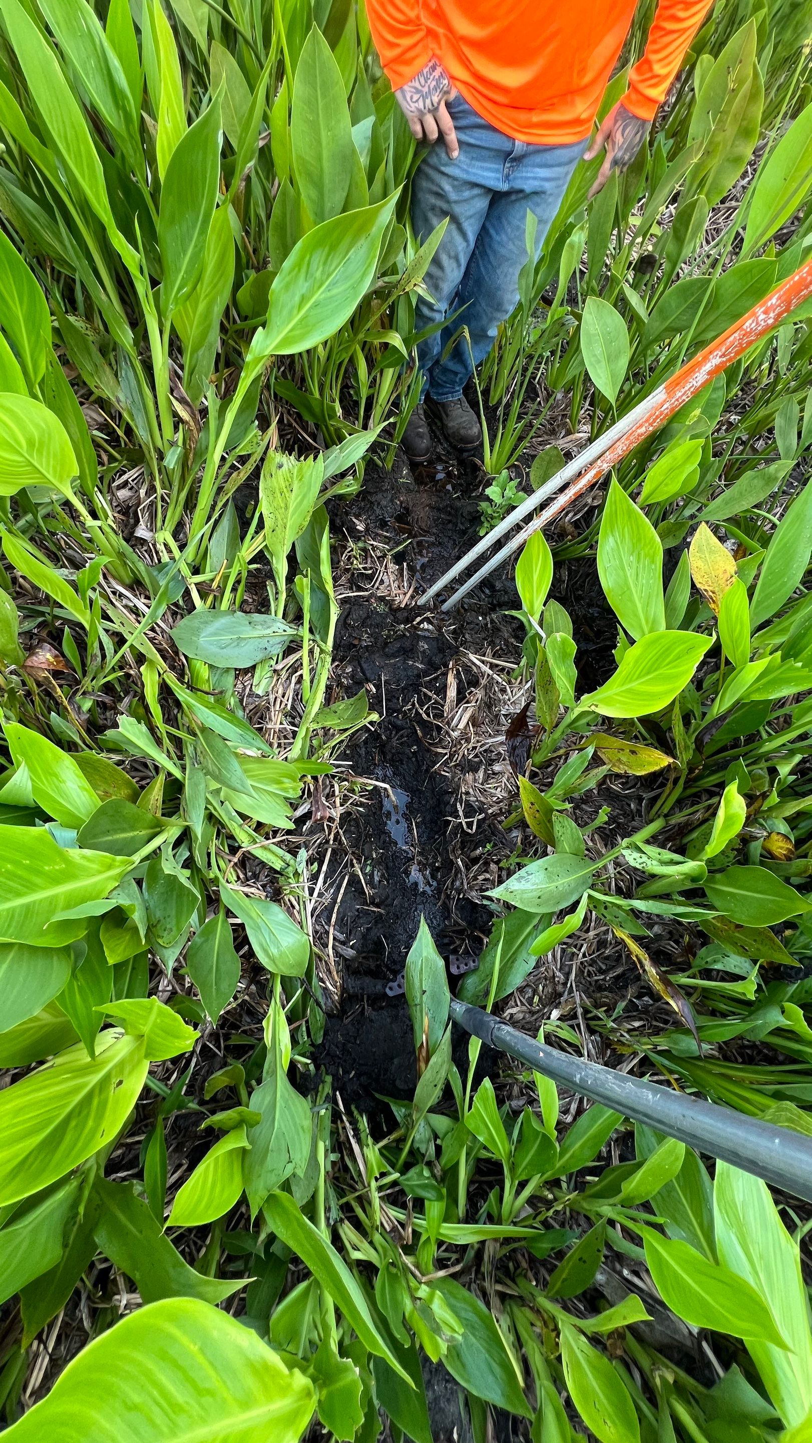 Community Annual Storm System Maintenance and Camera Inspection by APS Power & Water