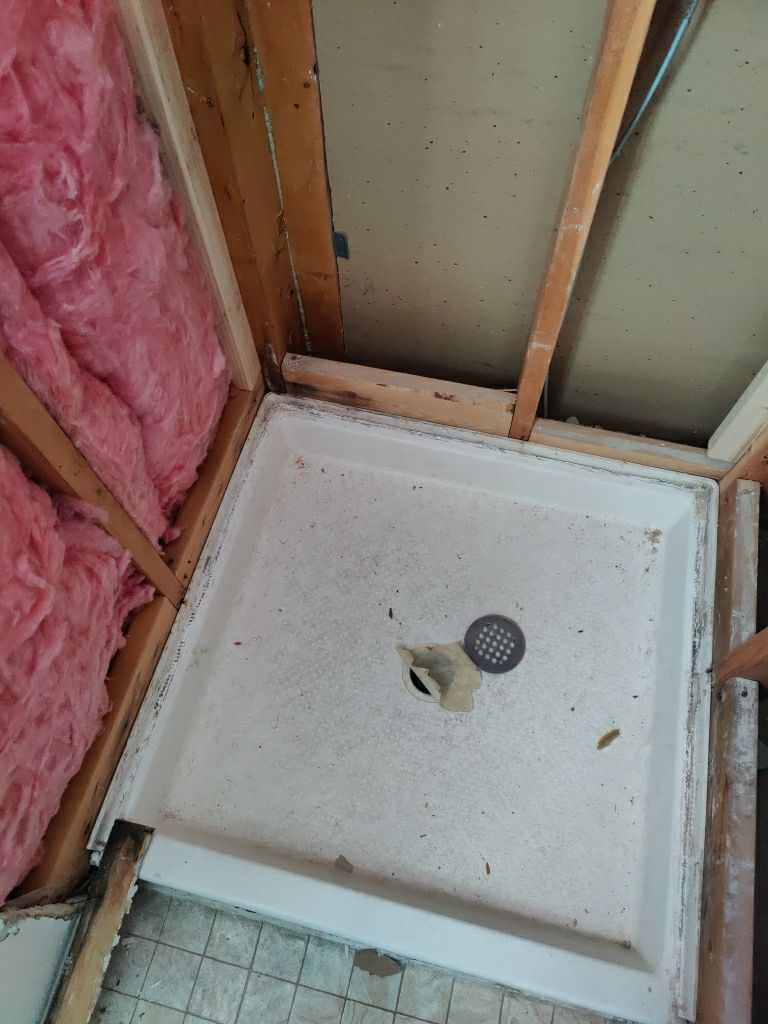 Mold Remediation  by Accountable Home Services