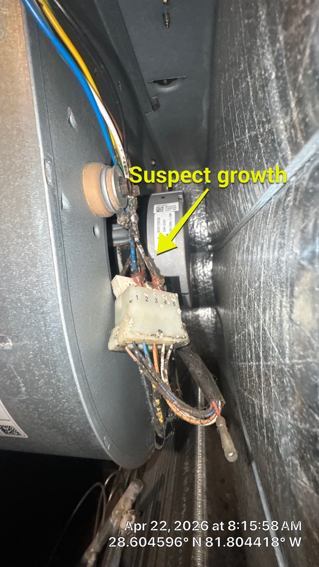 Air Duct Cleaning in Groveland by Hygienic Air, Inc