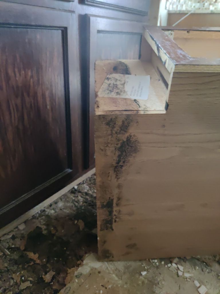 Mold Remediation in Kitchen by Accountable Home Services