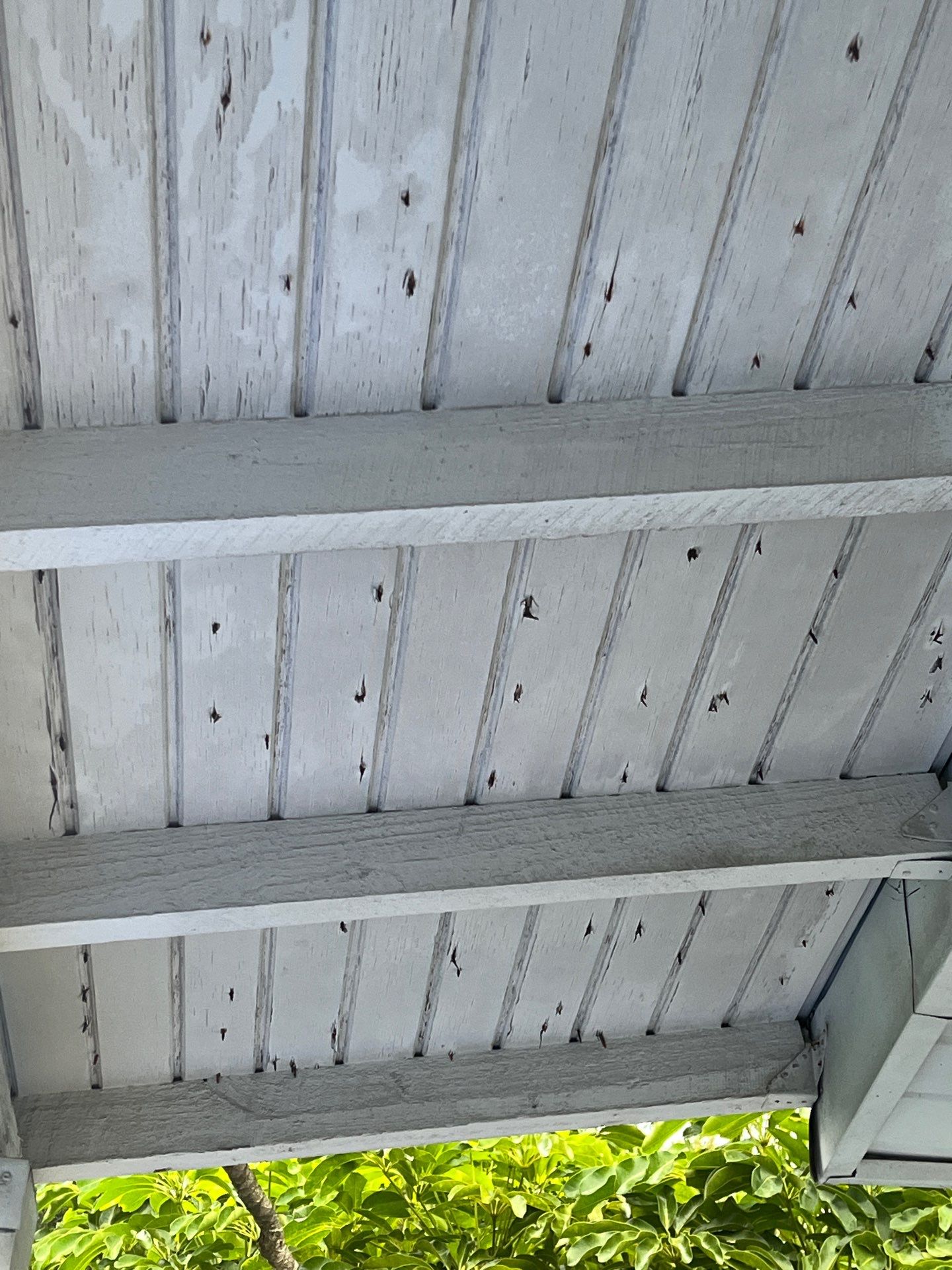 Project in St. Petersburg 33703 by Mitchell Roofing Company LLC