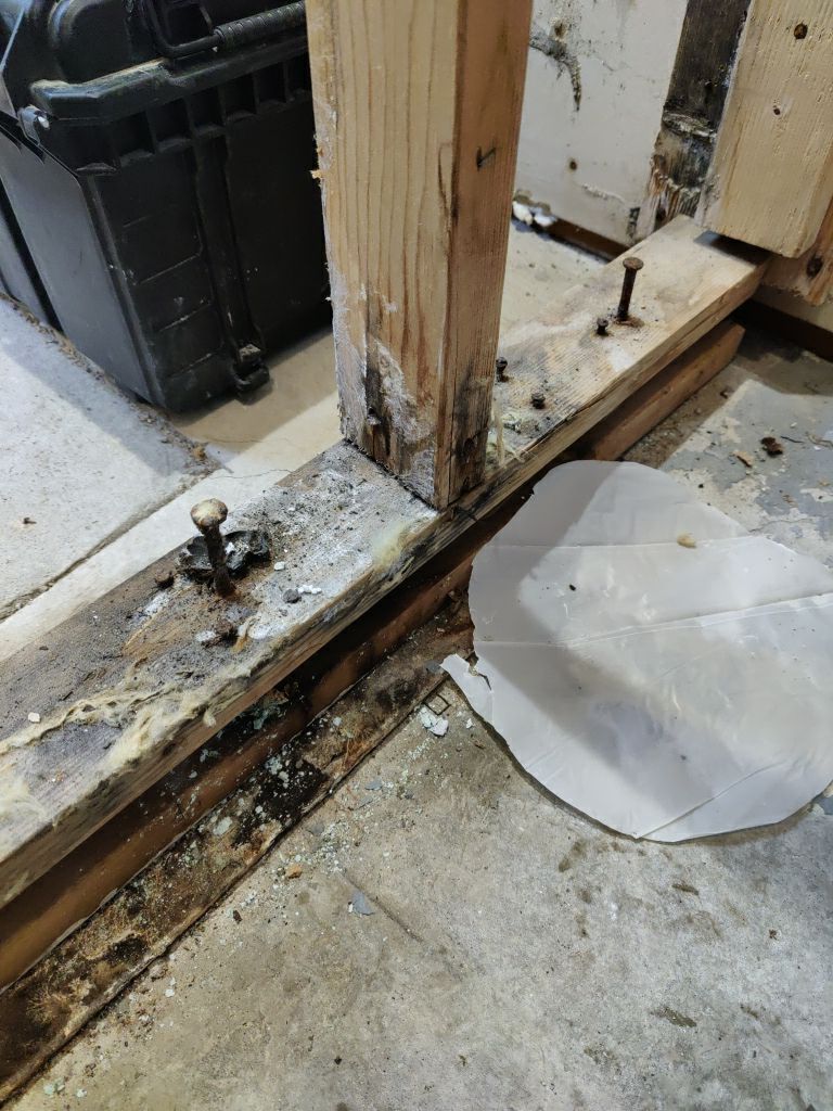 Mold Remediation by Accountable Home Services