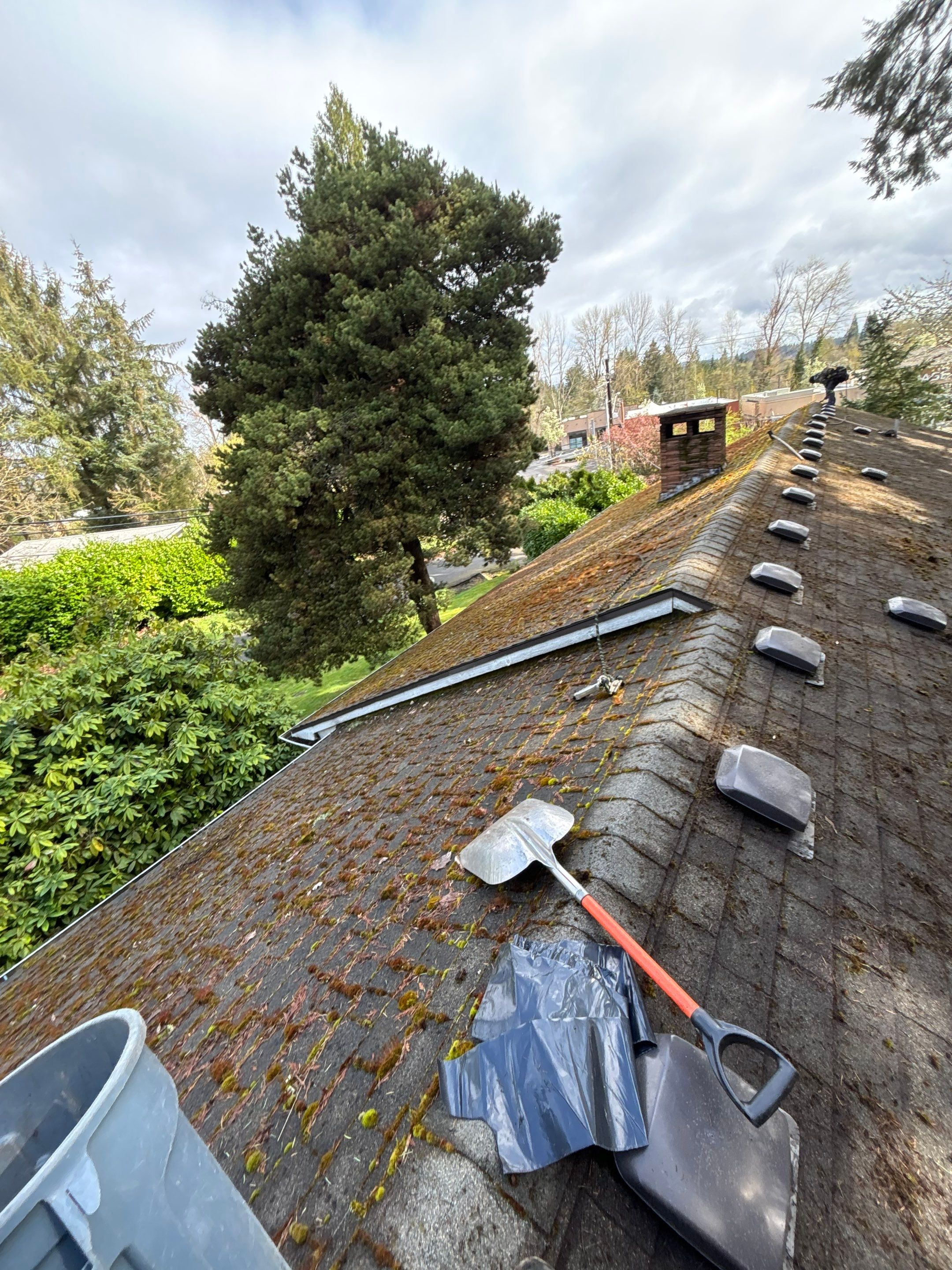 Roof Maintenance in West Linn by Prodigy Roof Solutions