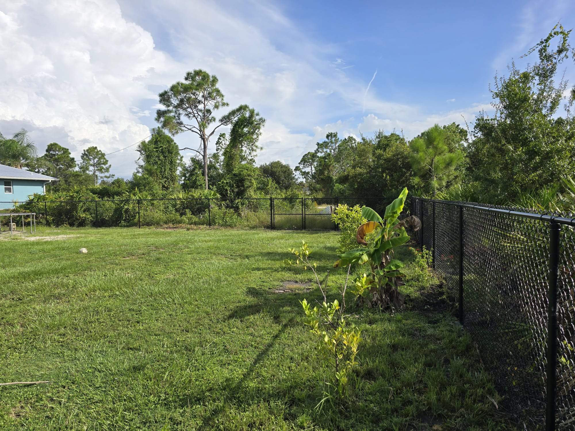 Chain Link in Port Charlotte by True Fence LLC