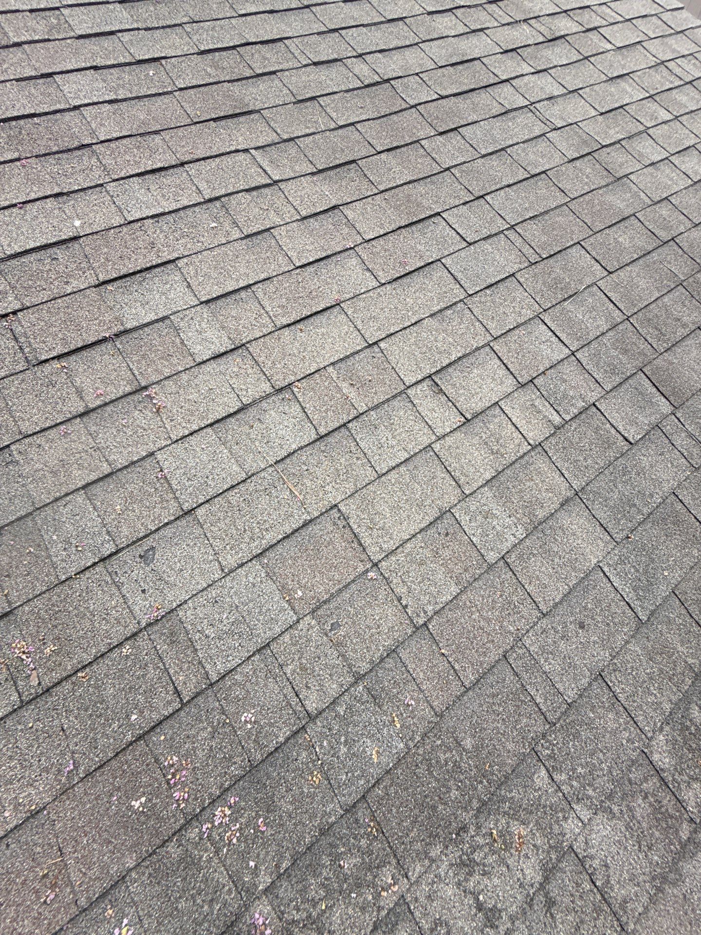 Roof Repair Houston by Roof Repair Services LLC