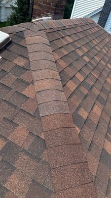 Turtle Shell gutter protection installation in Villa Park, IL 60181, photograph 11