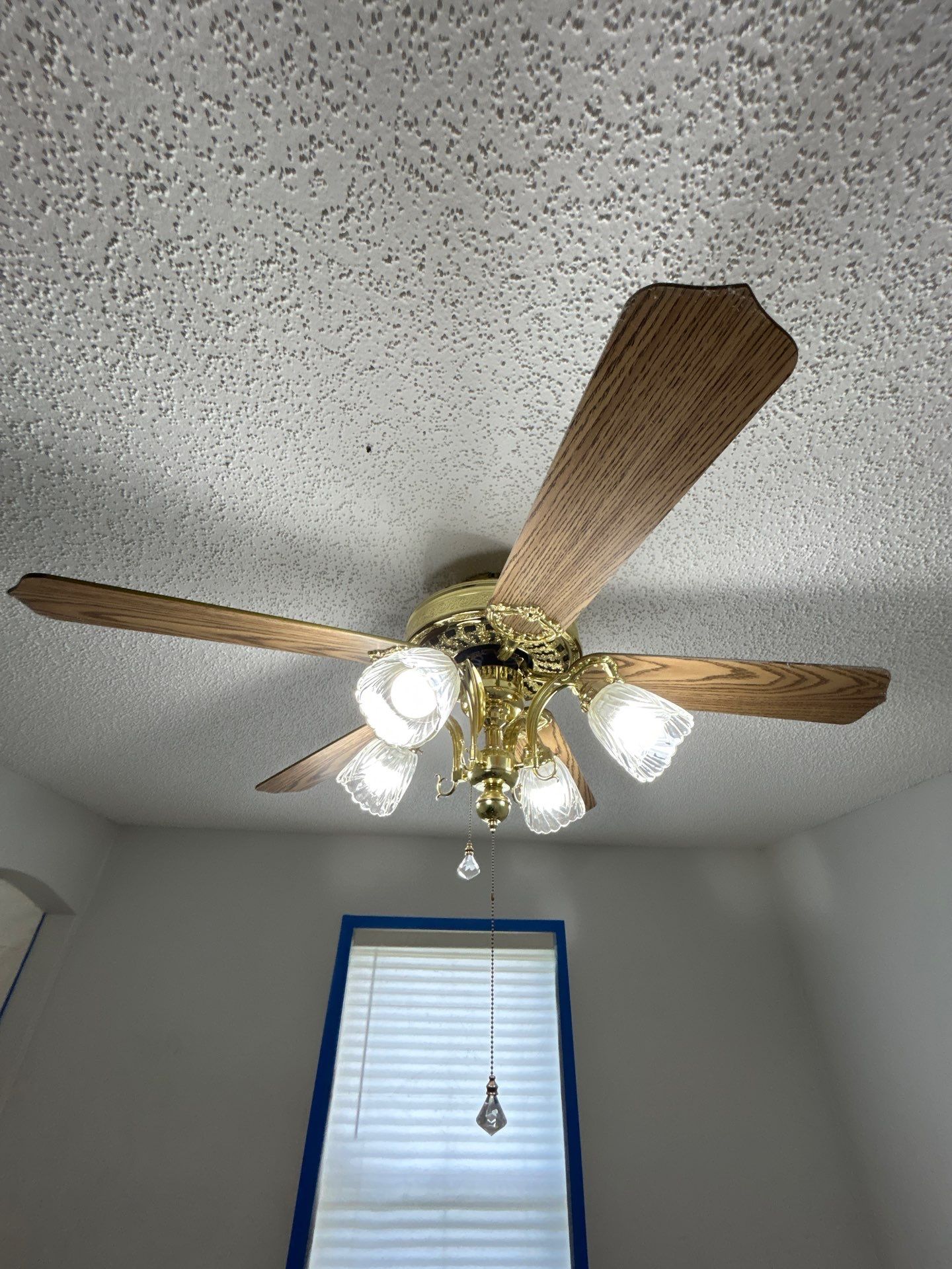 Stansell - water and mold photos  by THE RAPID TEAM