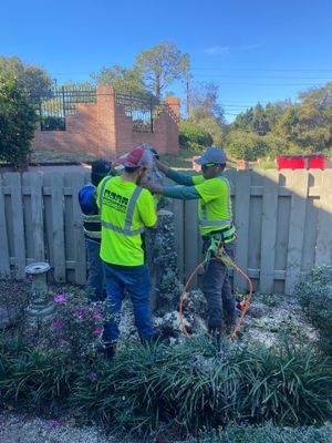 Deerwood Pointe | Tree Removal & Pine Straw Installation