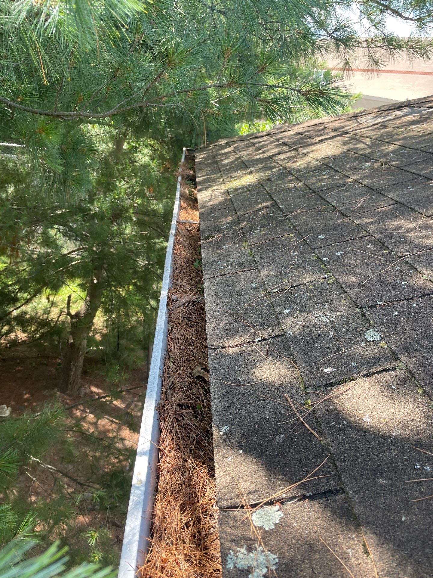 Commercial gutter cleaning Bridgeport before photo with filled gutters