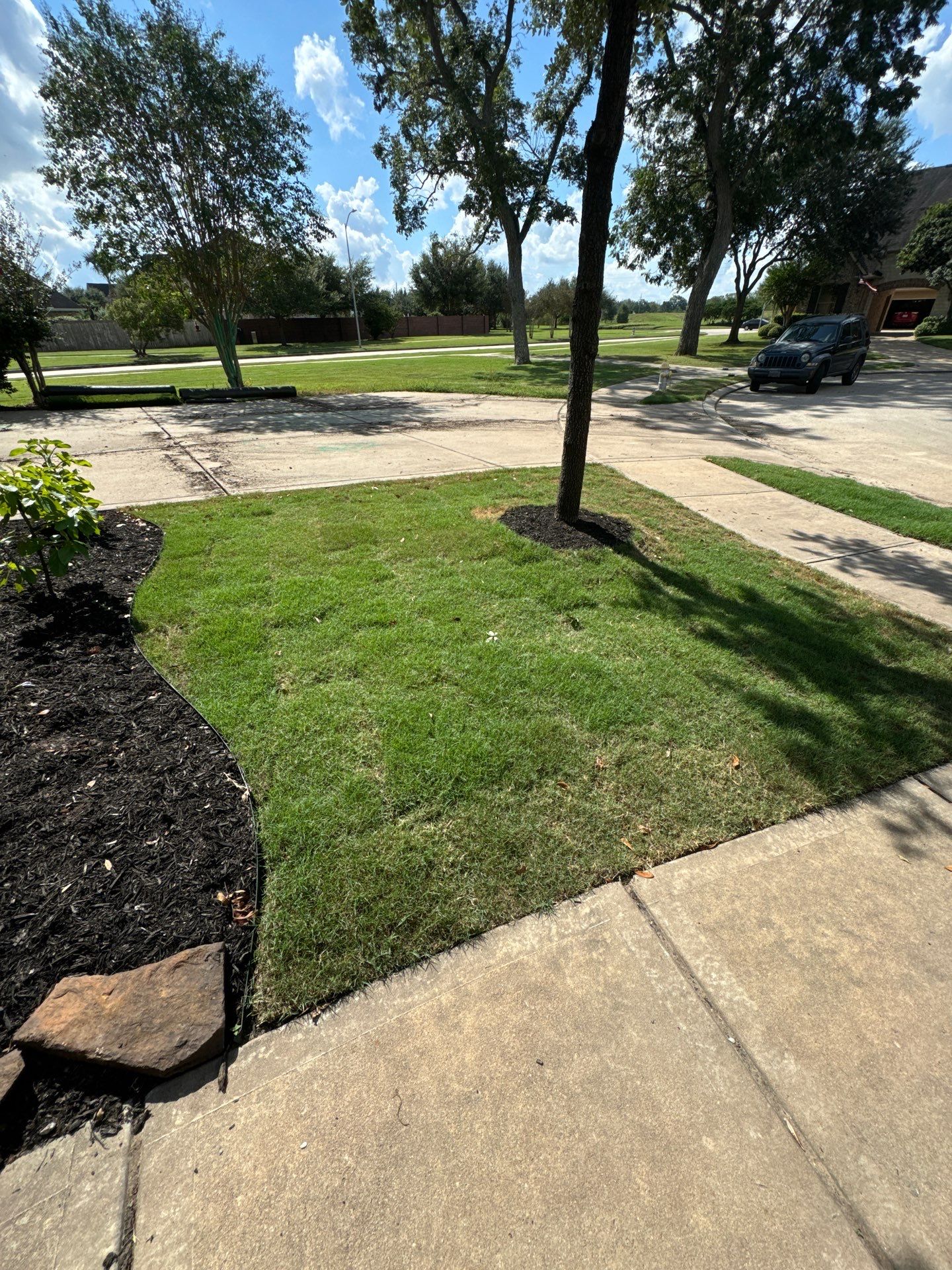 🌿🏡 Project Spotlight: Front Yard Curb Appeal Rescue for Mr. B. Khara by Texas Urban Elements
