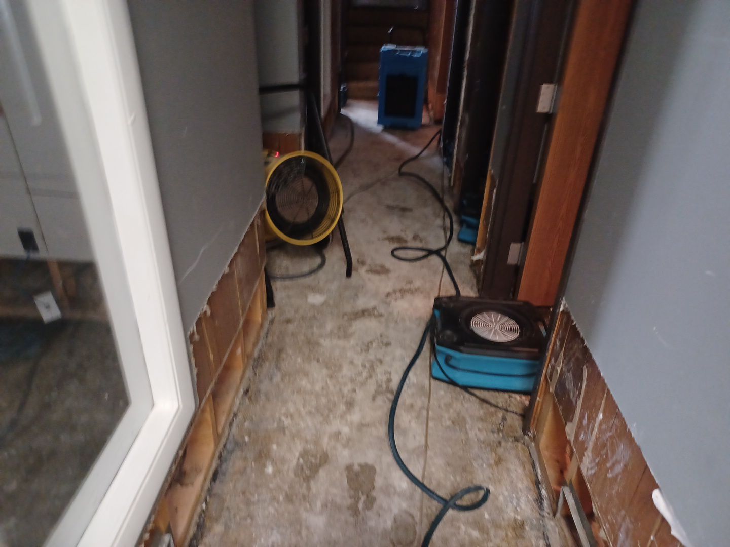 Project in Royal Oak by EzDry Water Mitigation & Property Restoration