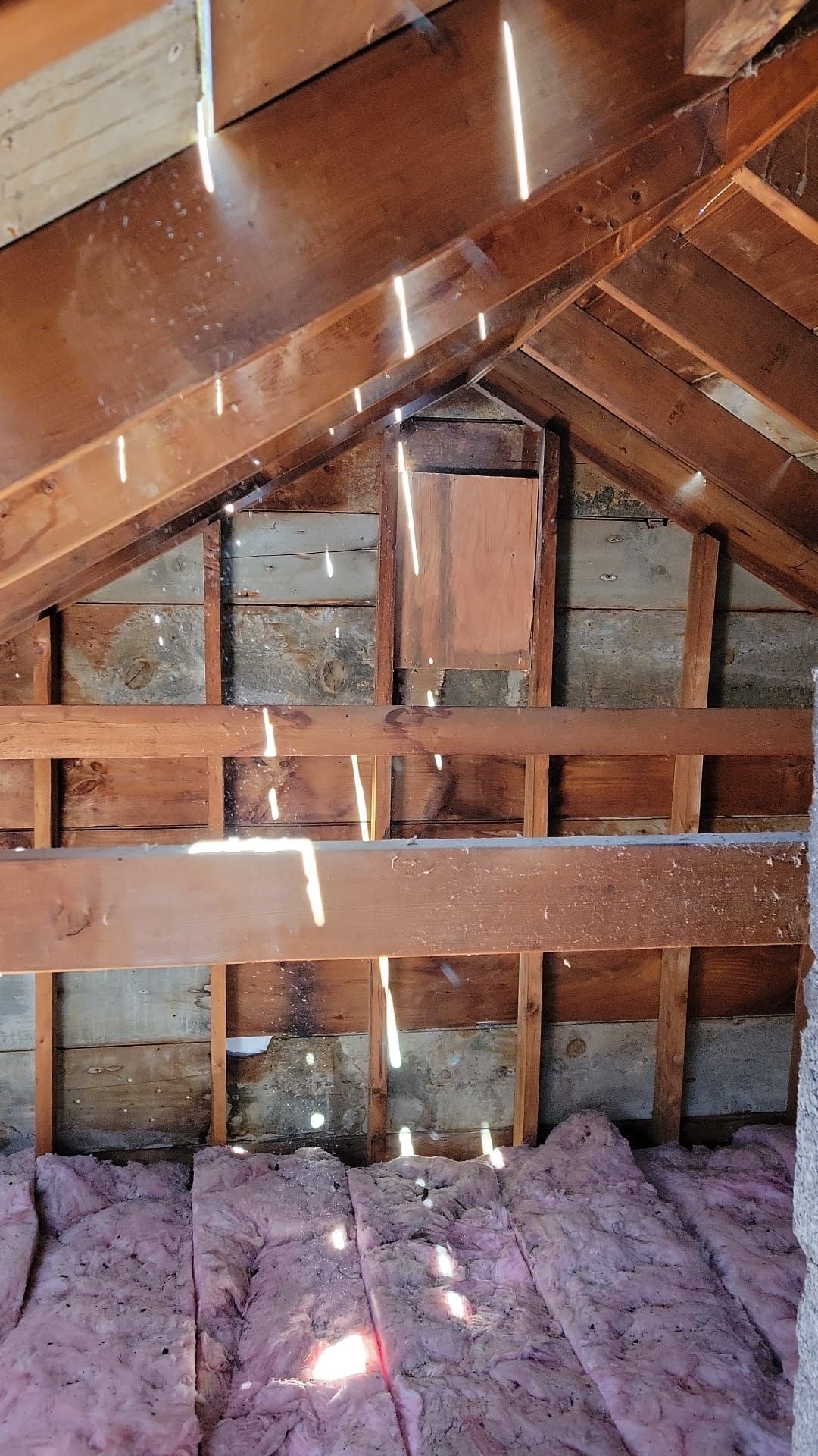 Roofing & Windows | Littleton by Mighty Dog Roofing of Greater Middlesex County