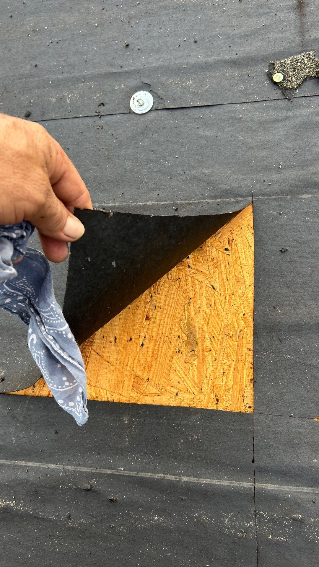Architectural Shingles by Fiddlers Roofing