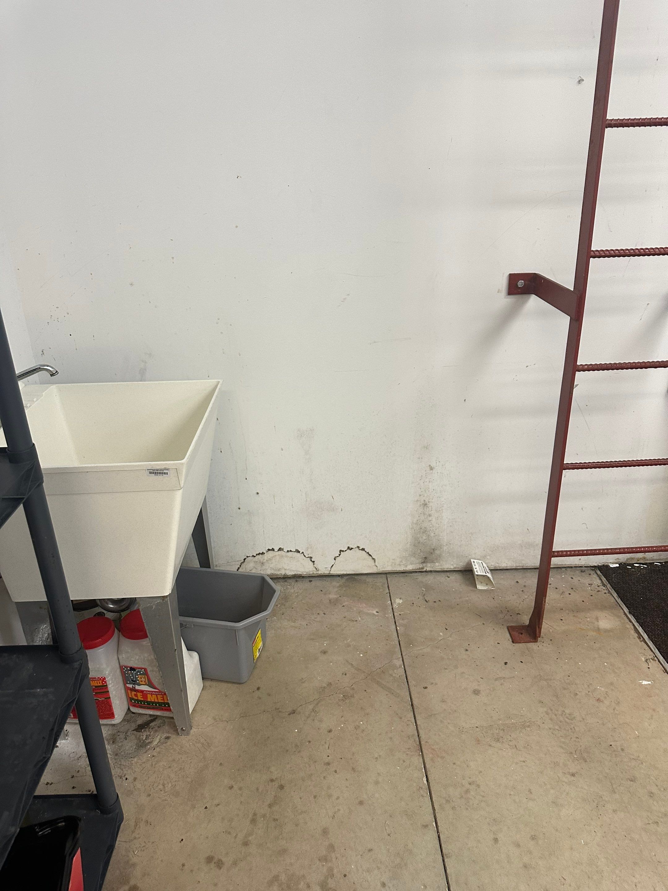 Commercial mold from long term roof leak by BlueRed Restoration