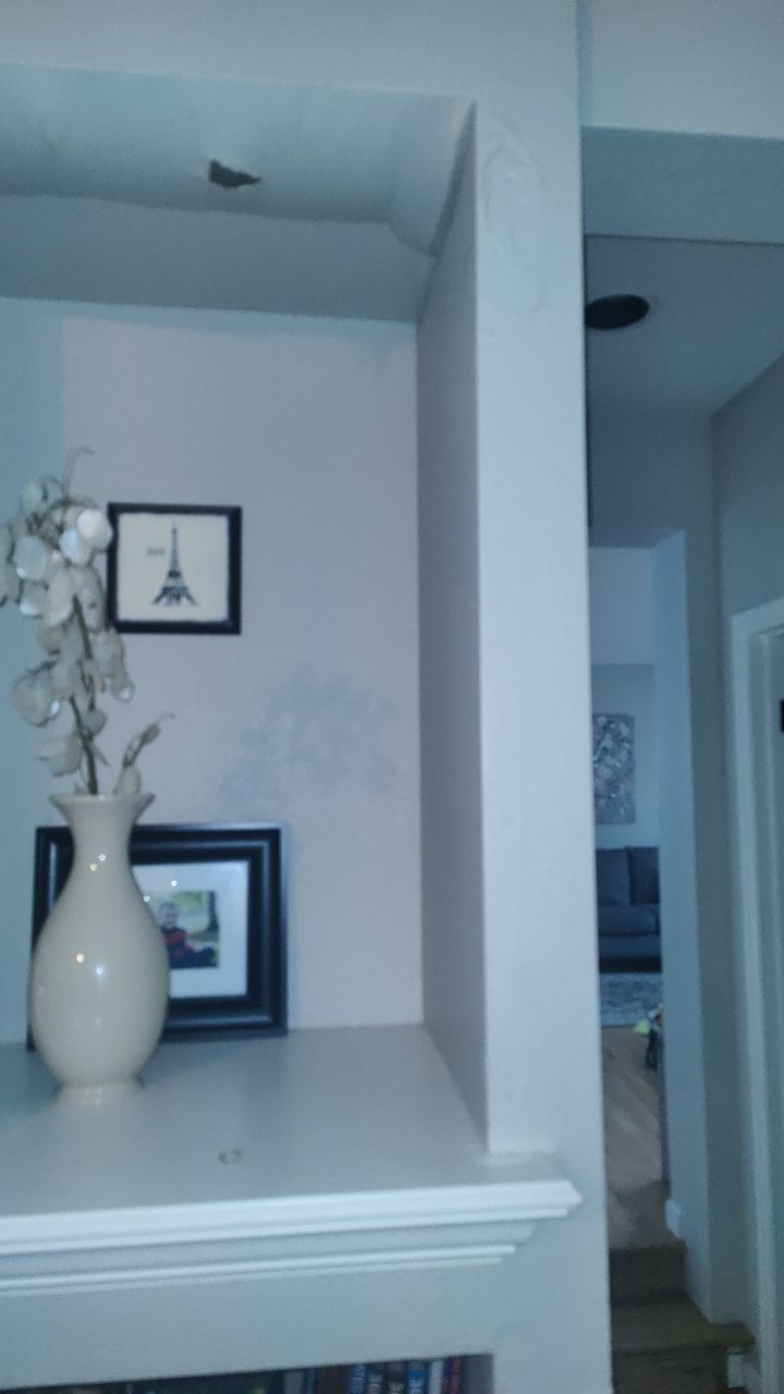 Water Damage by Accountable Home Services