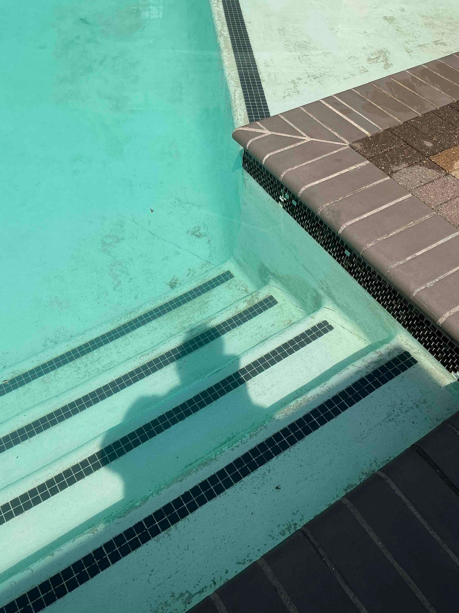 Sorrel Fairview by Sink or Swim Pools