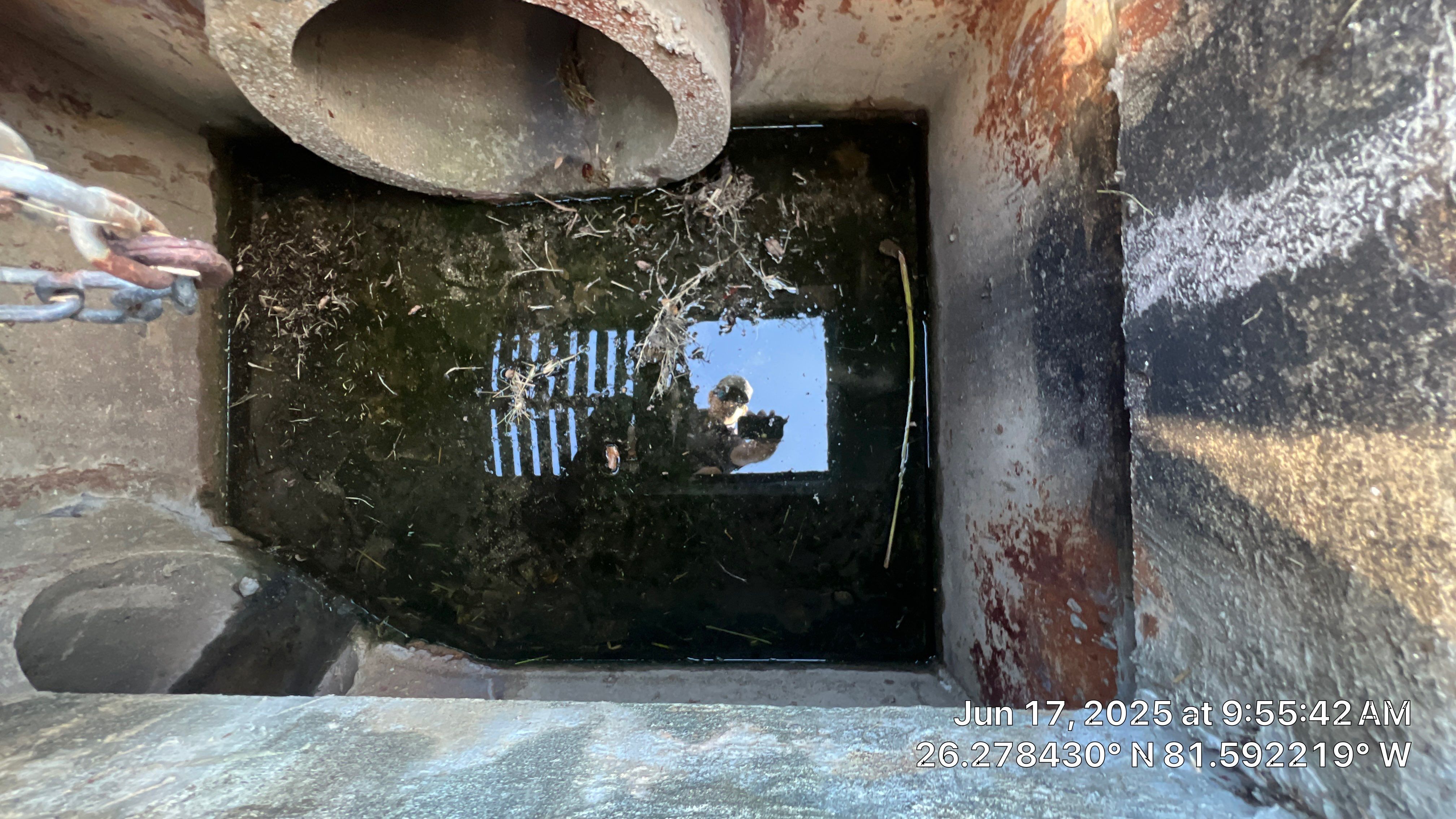 Naples Association Stormwater System Cleaning by APS Power & Water