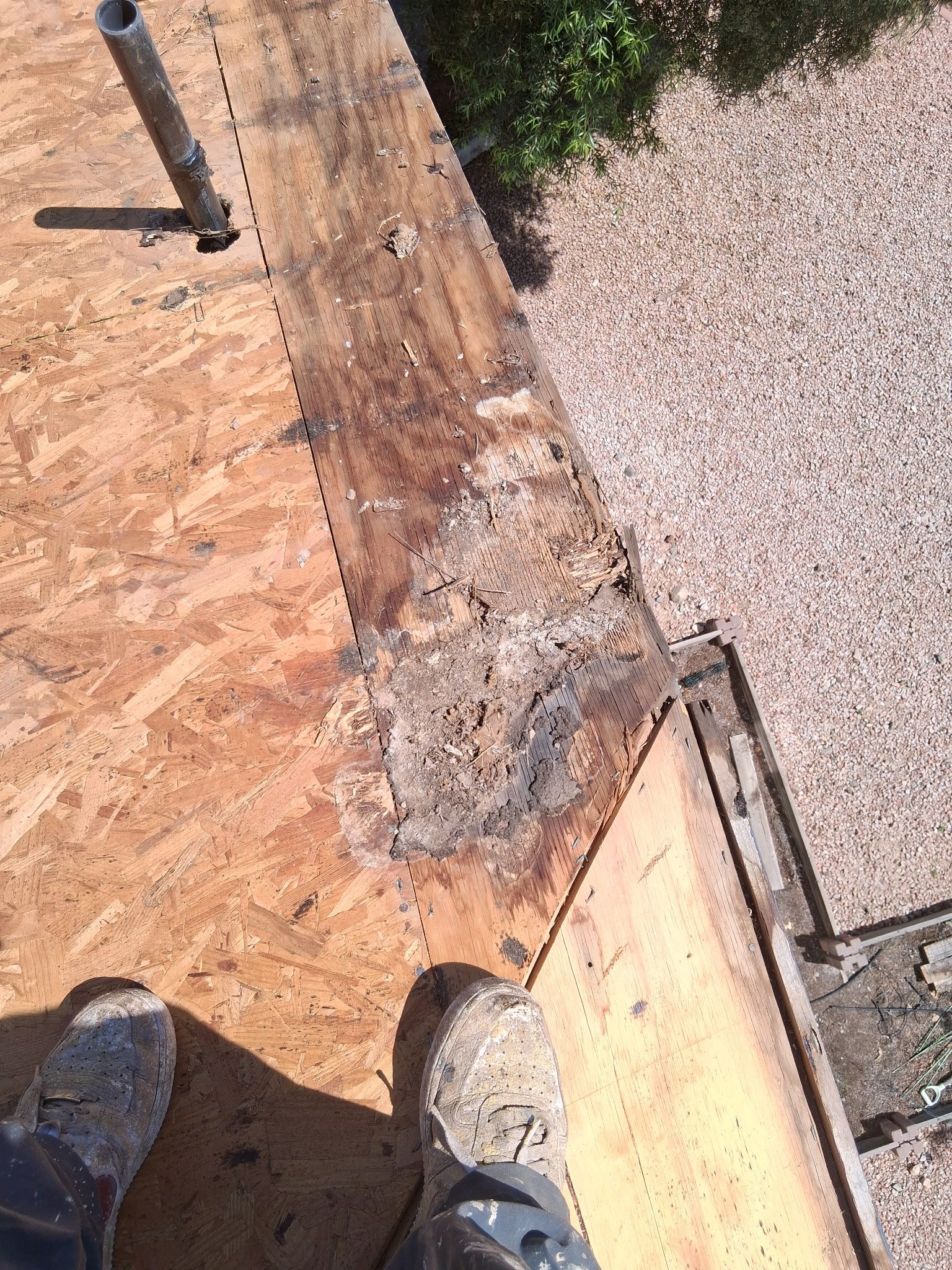Project in Phoenix, AZ by Showtime Roofing & Coatings LLC