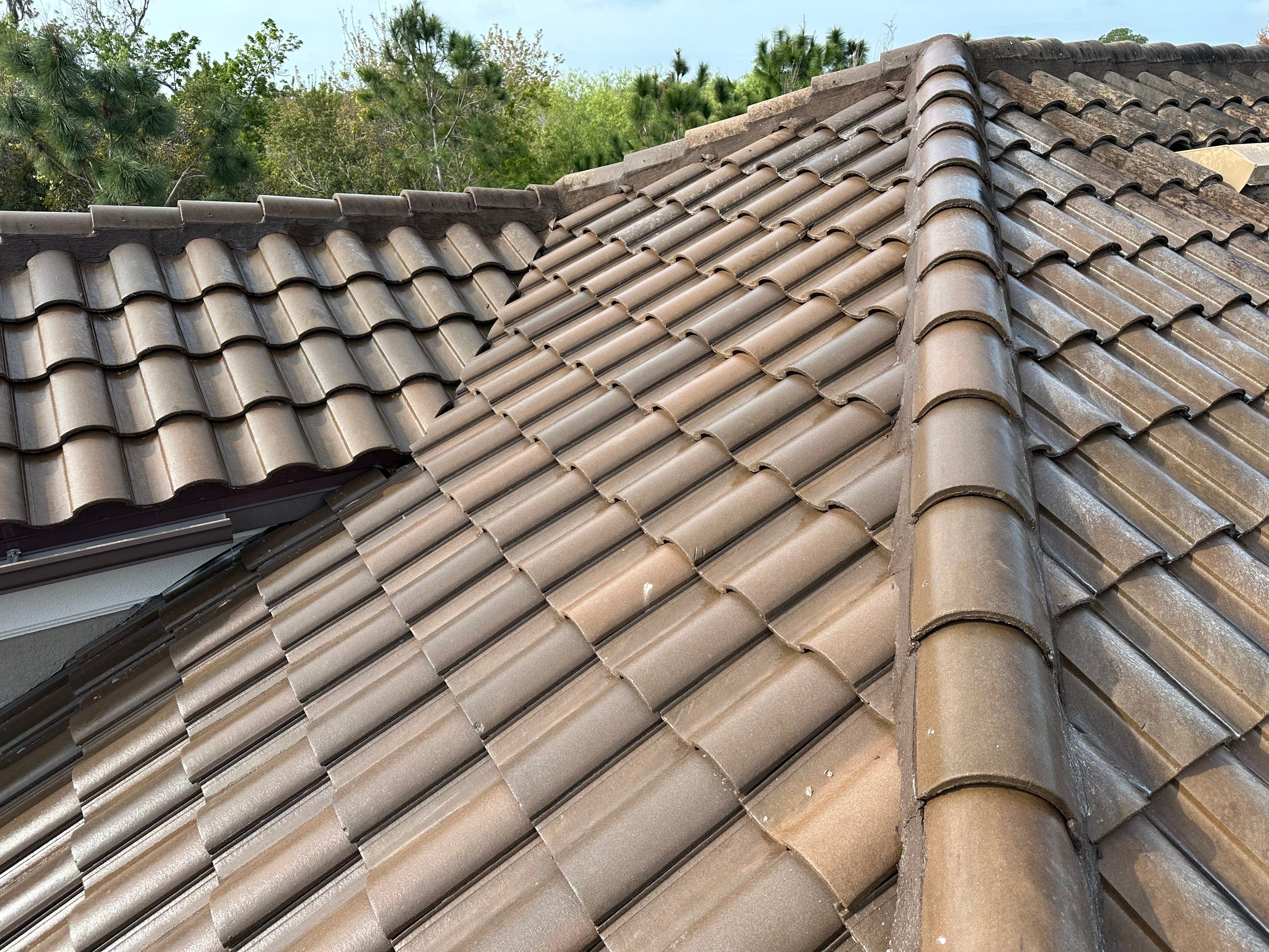 Concrete Tile Roof, Paver Pool Deck, Screen Enclosure & Driveway Cleaning in Artisan Lakes Esplanade, Palmetto, FL | Sunshine AquaWash by Sunshine AquaWash