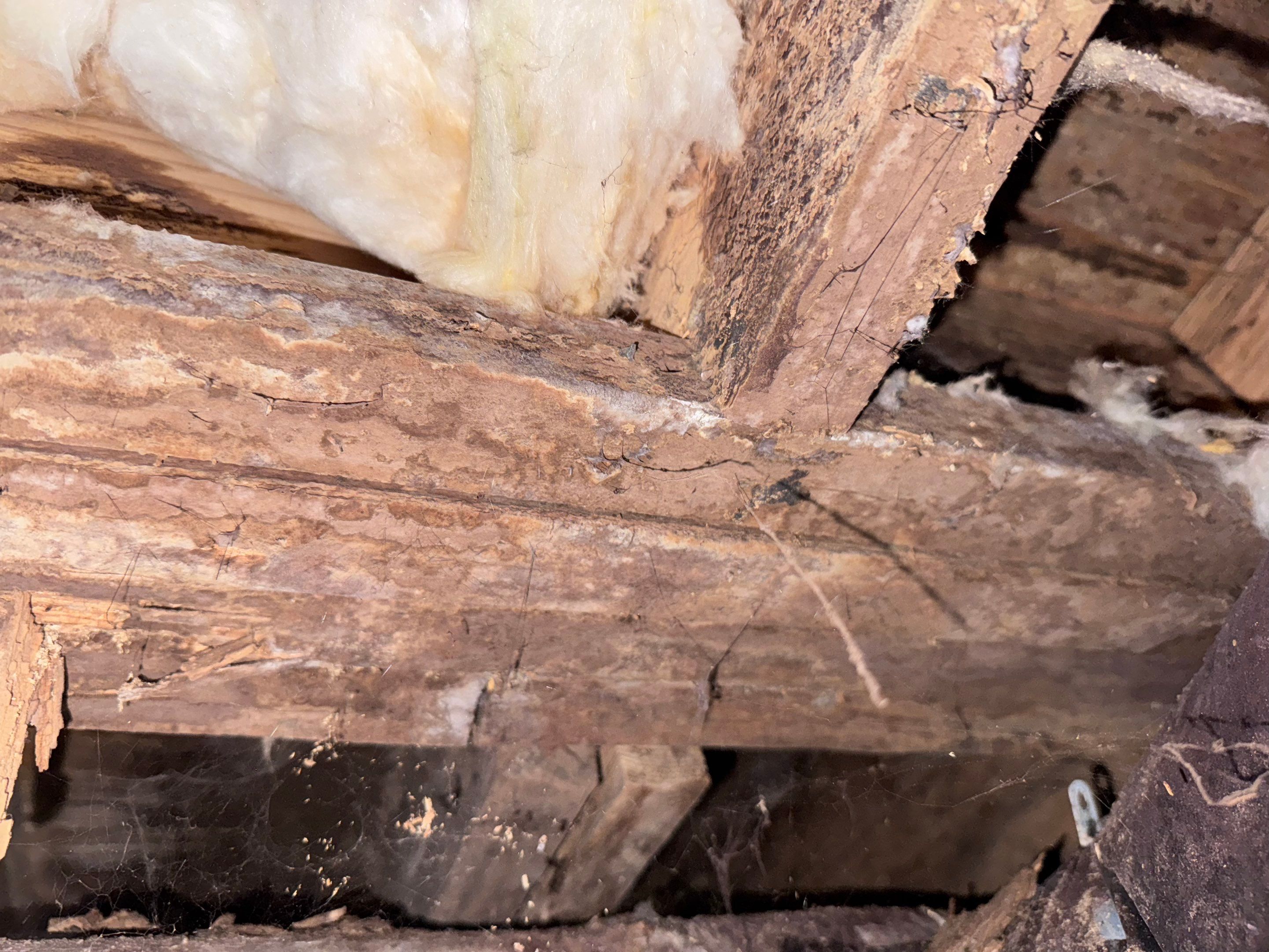 Structural Repairs inludiing sub-floor removal, new floor joists installed, girder replacmeent and dropped girder installed. by Impact Crawlspace