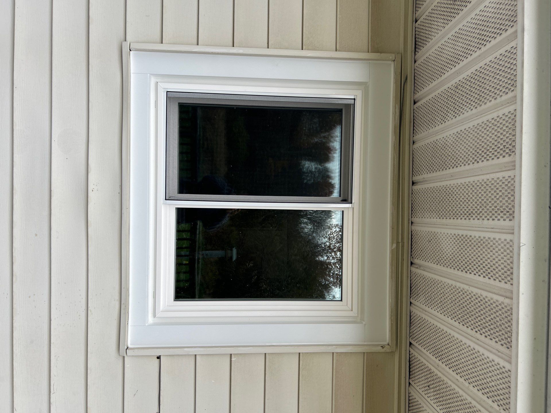 Windows in Norton by Ohio State Windows