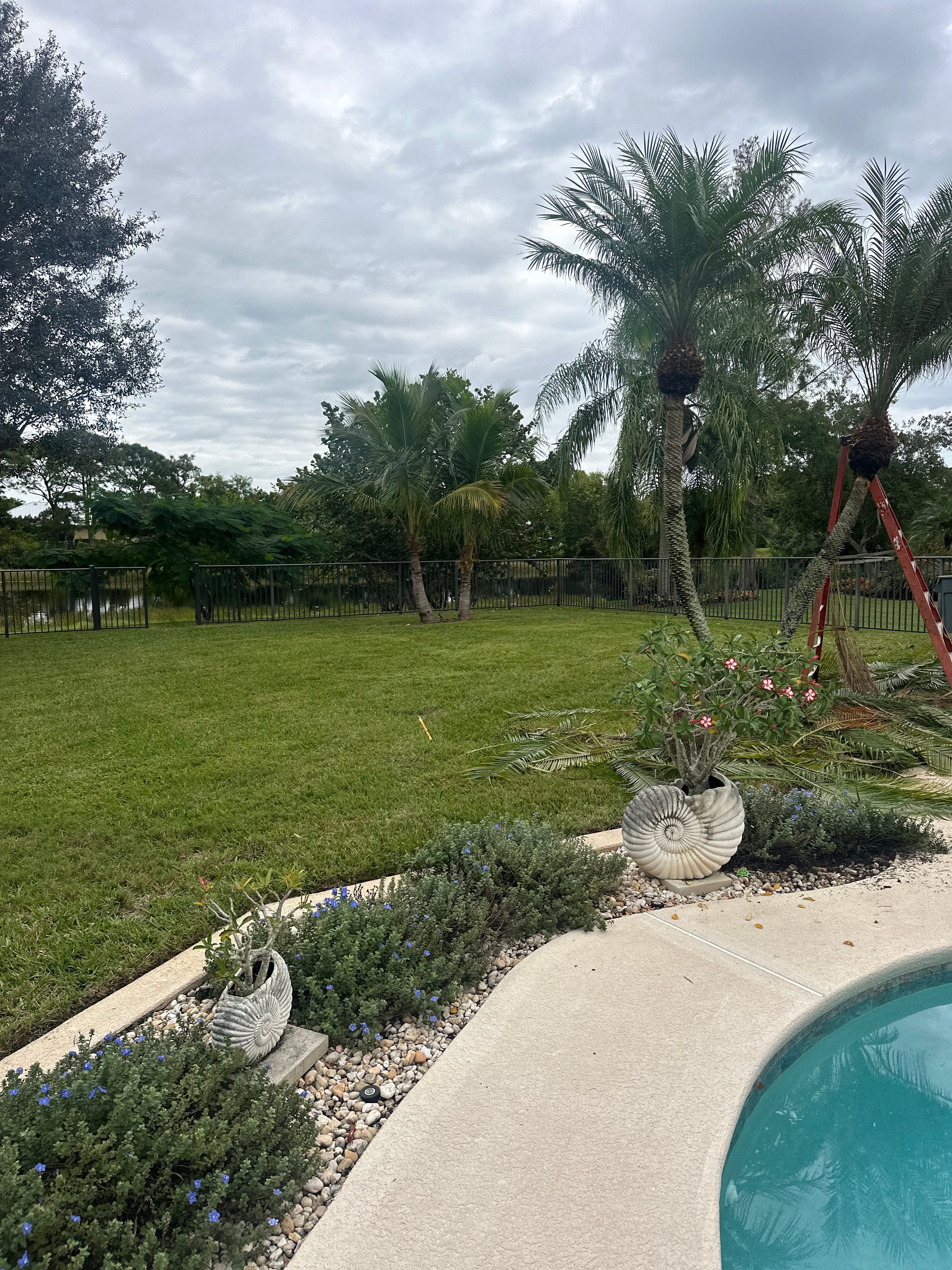 🌴✨ HAMMOCK CREEK SIGNATURE CLEANUP — THE ALPHA ZETA WAY ✨🌴 by Alpha Zeta Enterprises Inc