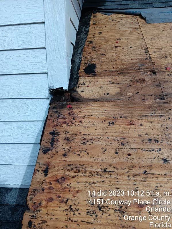 Pewter Gray Shingles by Reimagine Roofing