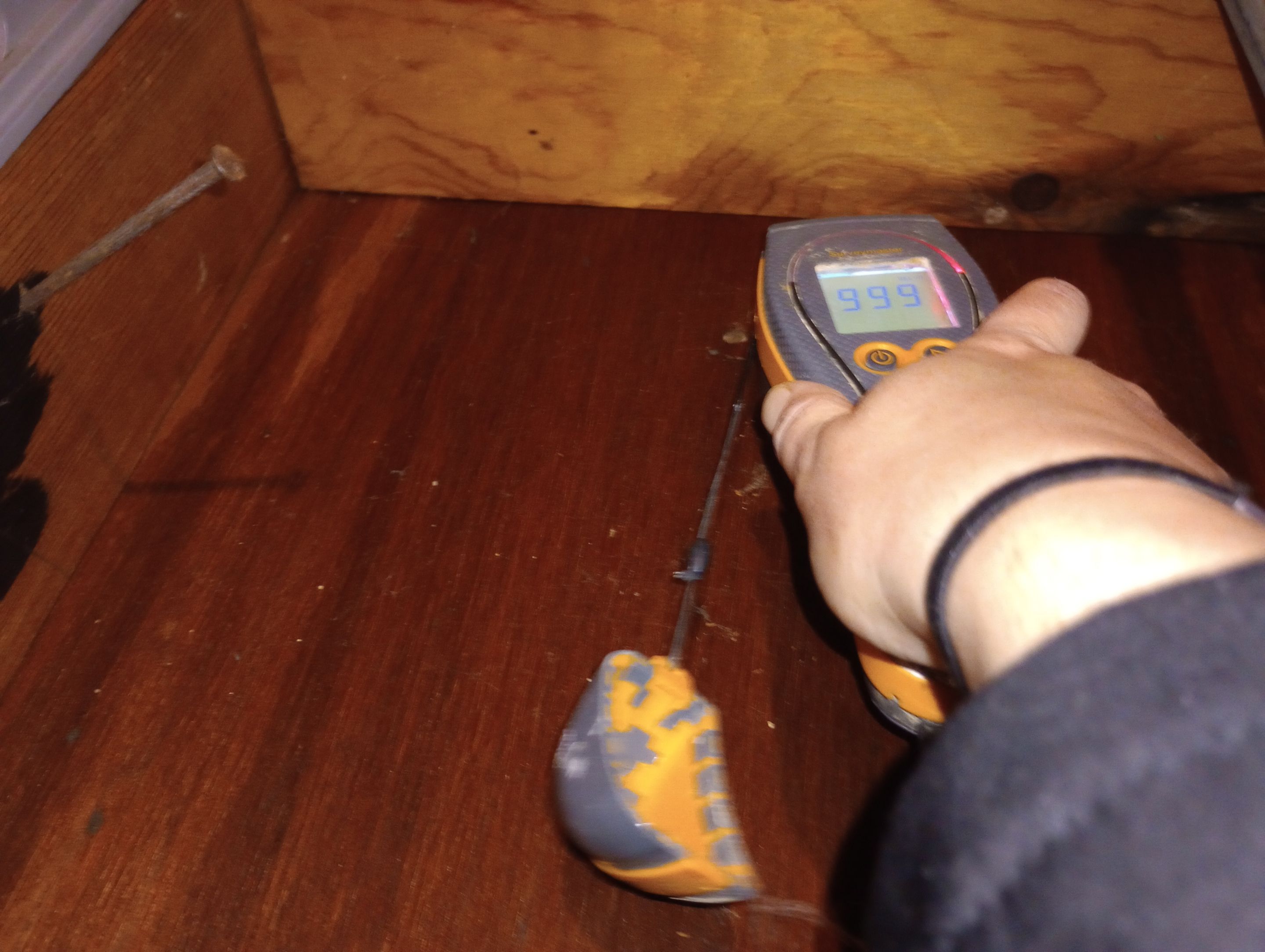 Water Damage in from upstairs sewage backup.  by ANR Restoration