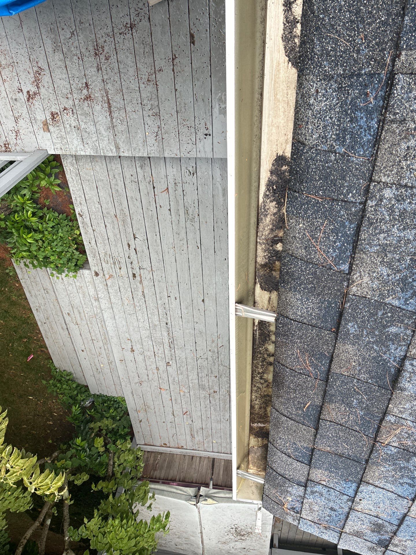 Gutter Cleaning in Tinton Falls, NJ by Clearview Washing