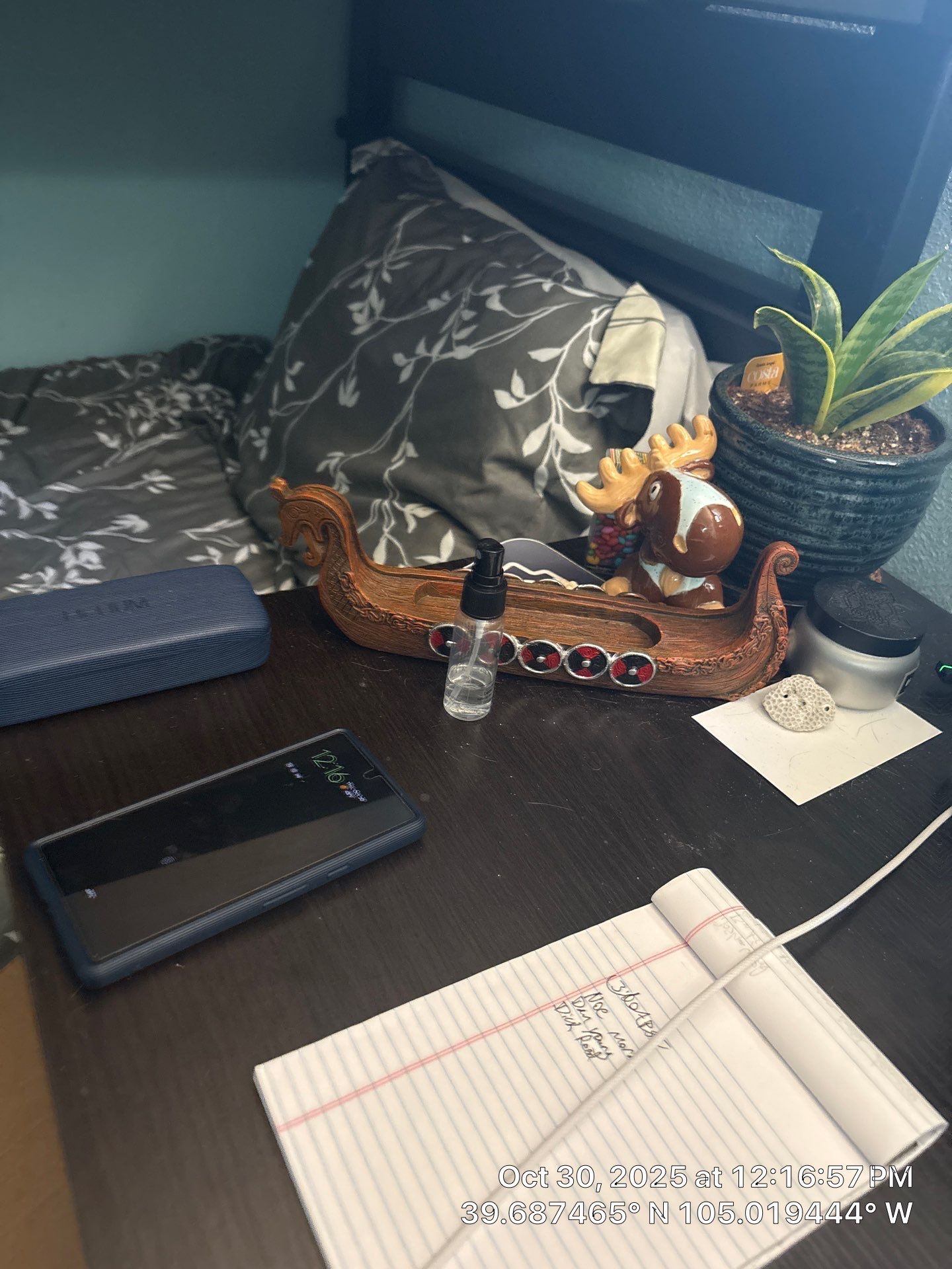 Shaggy by CompanyCam Sales Demo