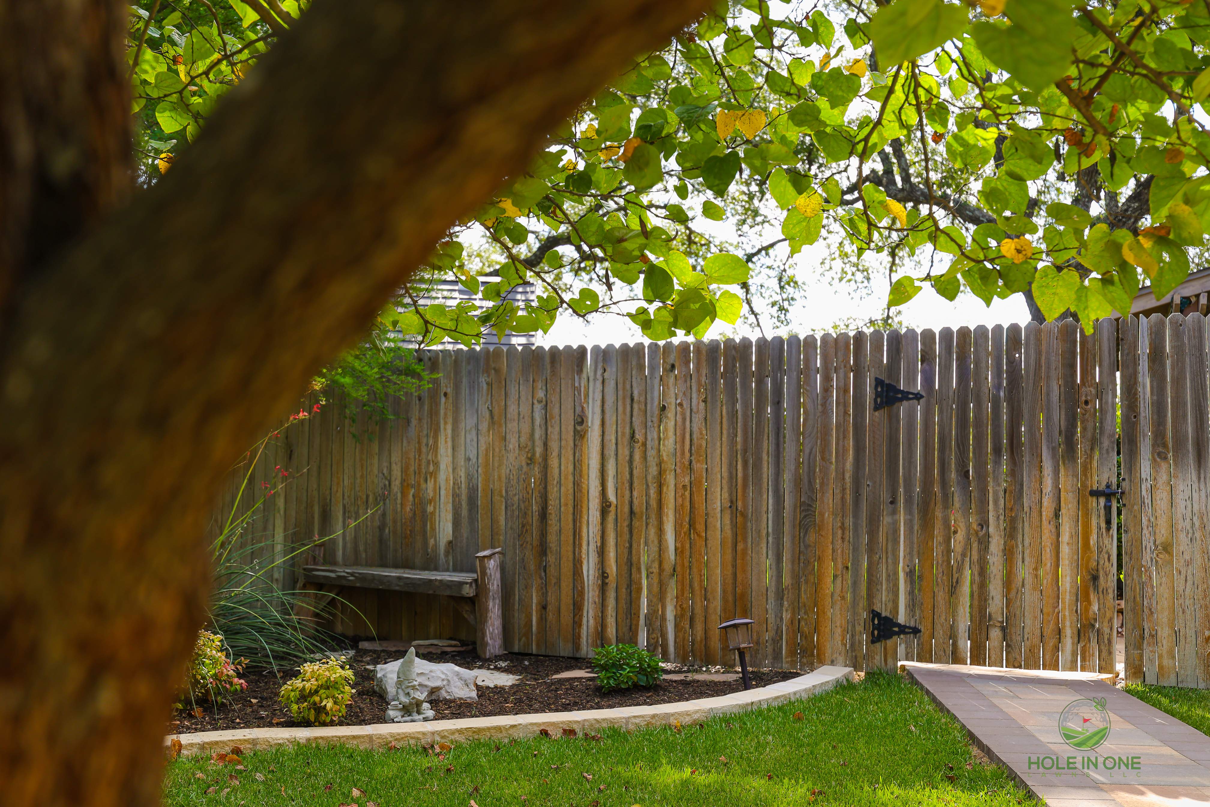 Wortham Oak, San Antonio TX by Hole In One Lawns, LLC
